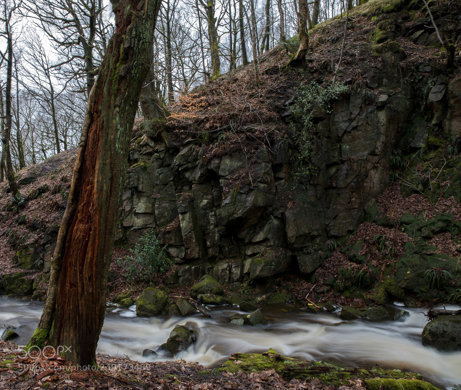 Canon EOS 5D Mark IV sample photo. Rivington. photography