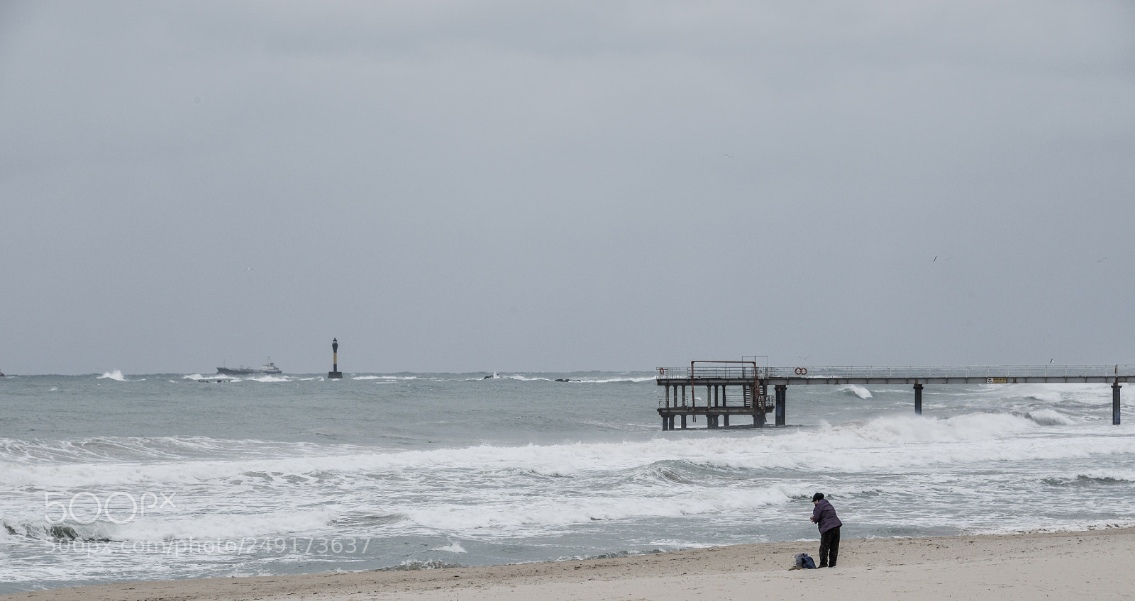 Nikon D800 sample photo. Pray of old mother photography