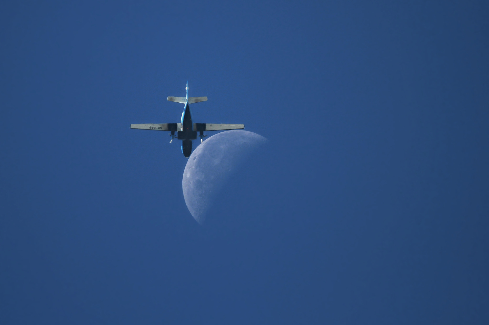 Canon EF 100-400mm F4.5-5.6L IS USM sample photo. Touch of l-410 photography