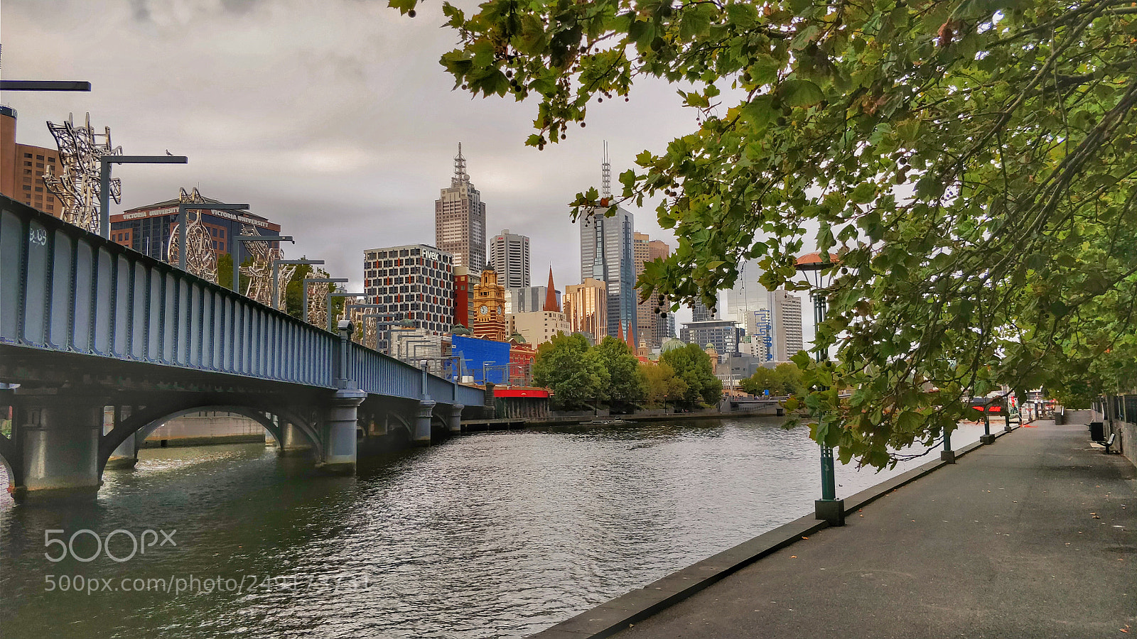 OnePlus 5 sample photo. Melbourne photography