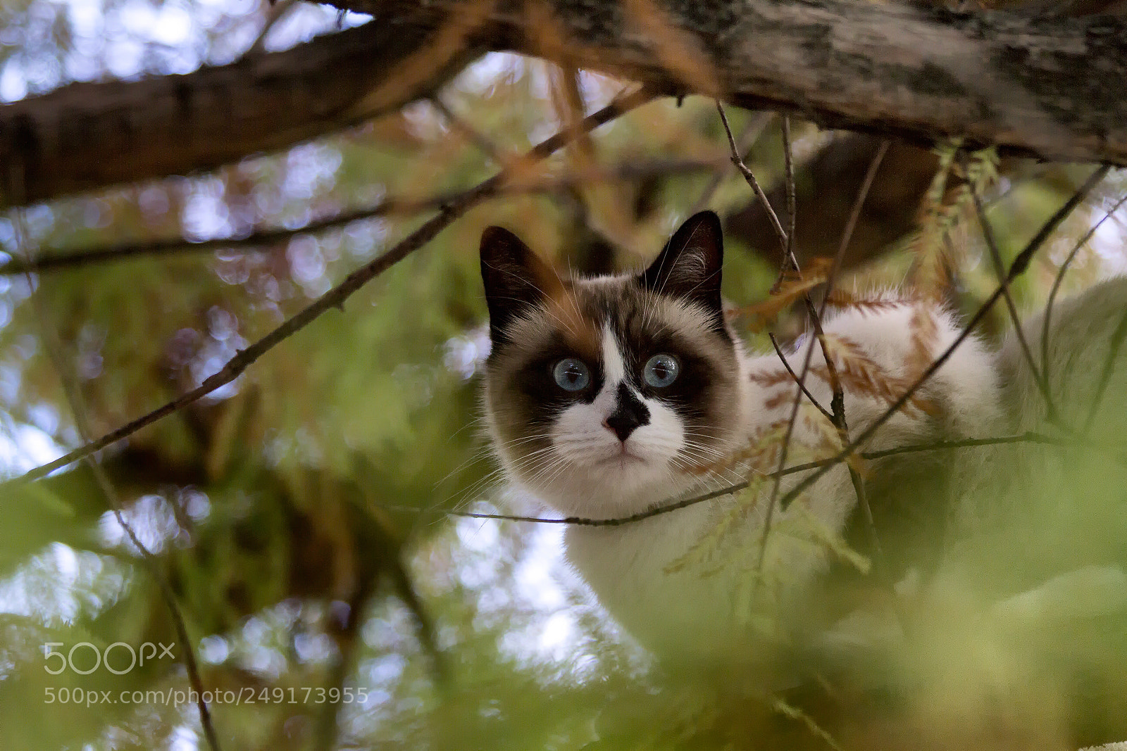 Canon EOS 7D sample photo. Where the wild things photography
