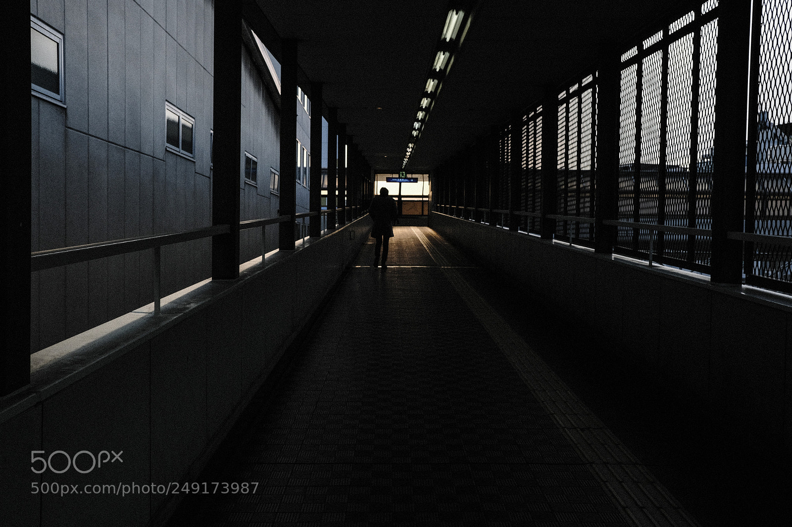 Fujifilm X-Pro2 sample photo. Way back photography