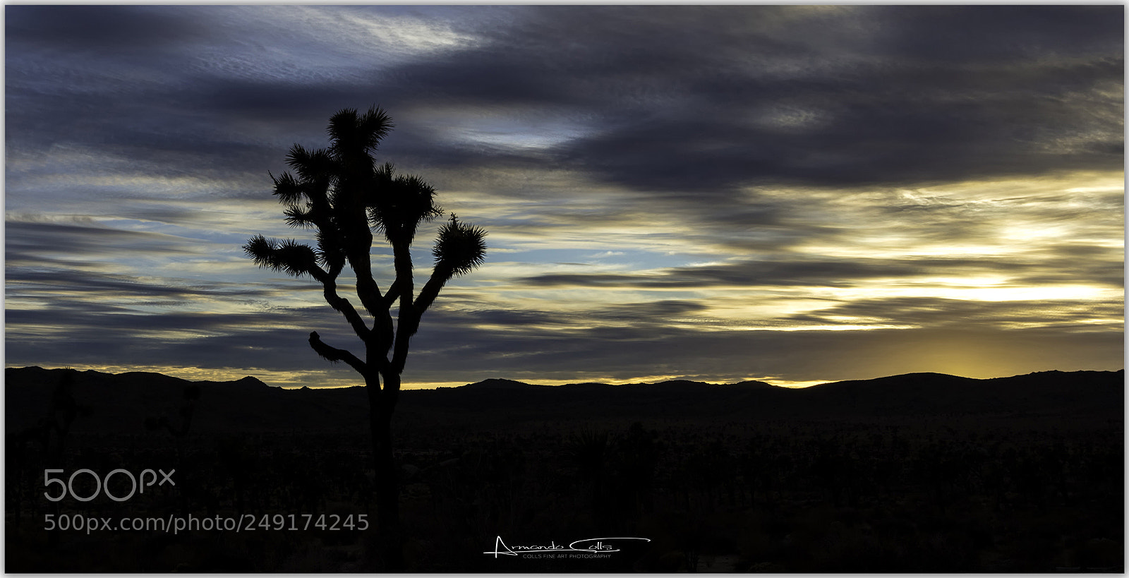 Canon EOS 5DS R sample photo. Copy photography