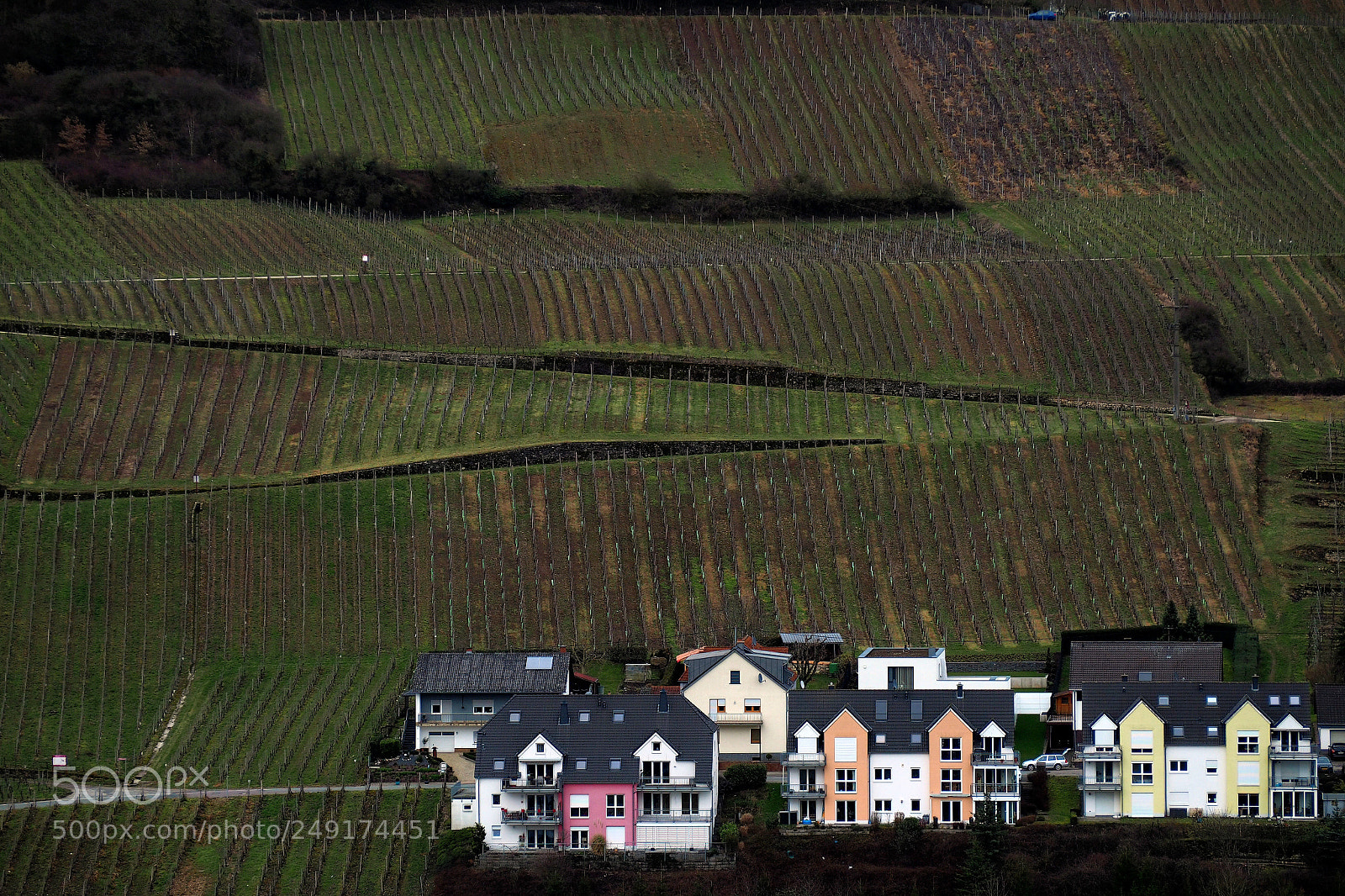 Olympus OM-D E-M5 II sample photo. Wine country photography