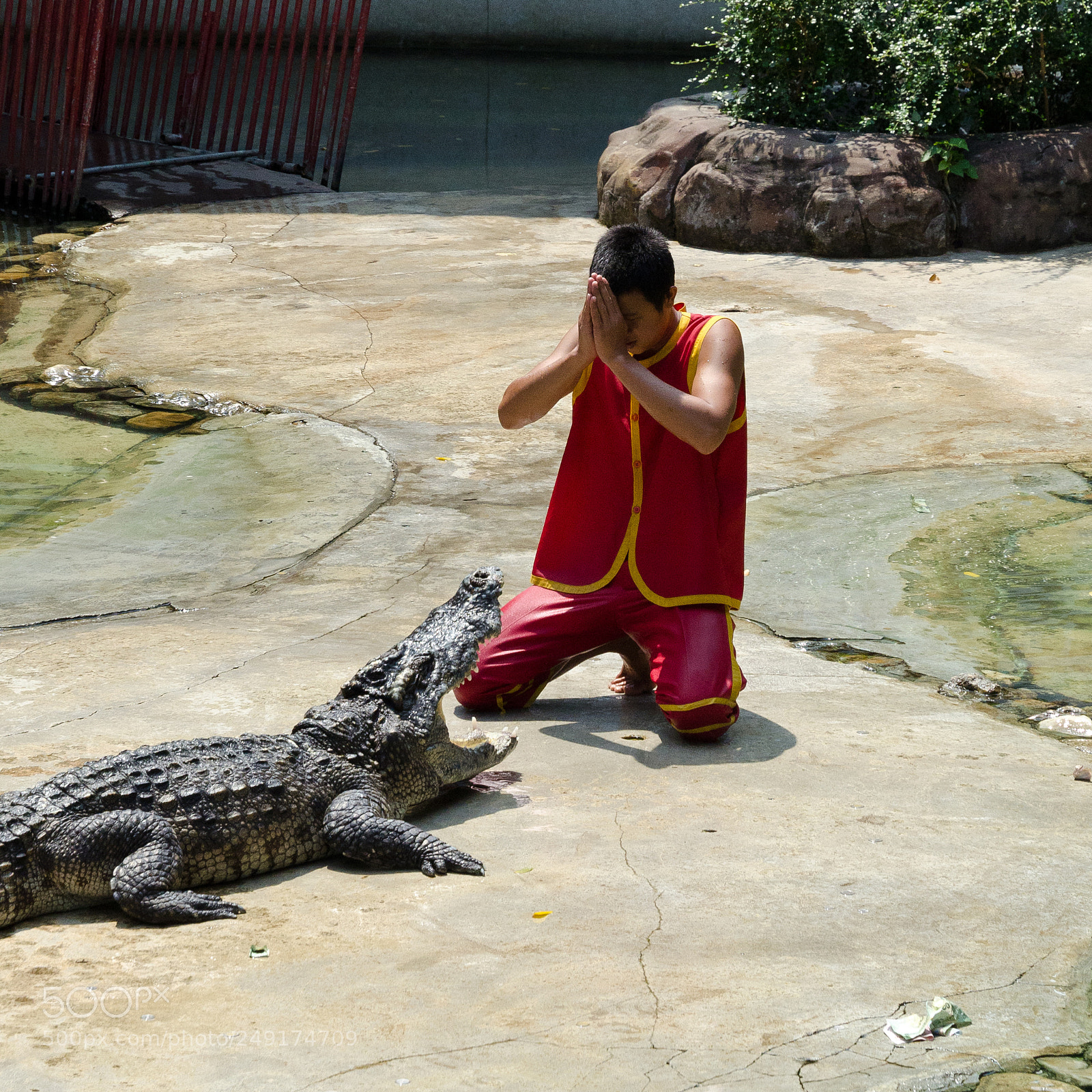Nikon D7000 sample photo. Praying with the crocodile photography