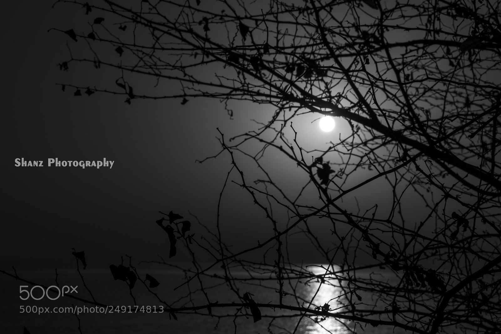 Nikon D5300 sample photo. Darkness photography