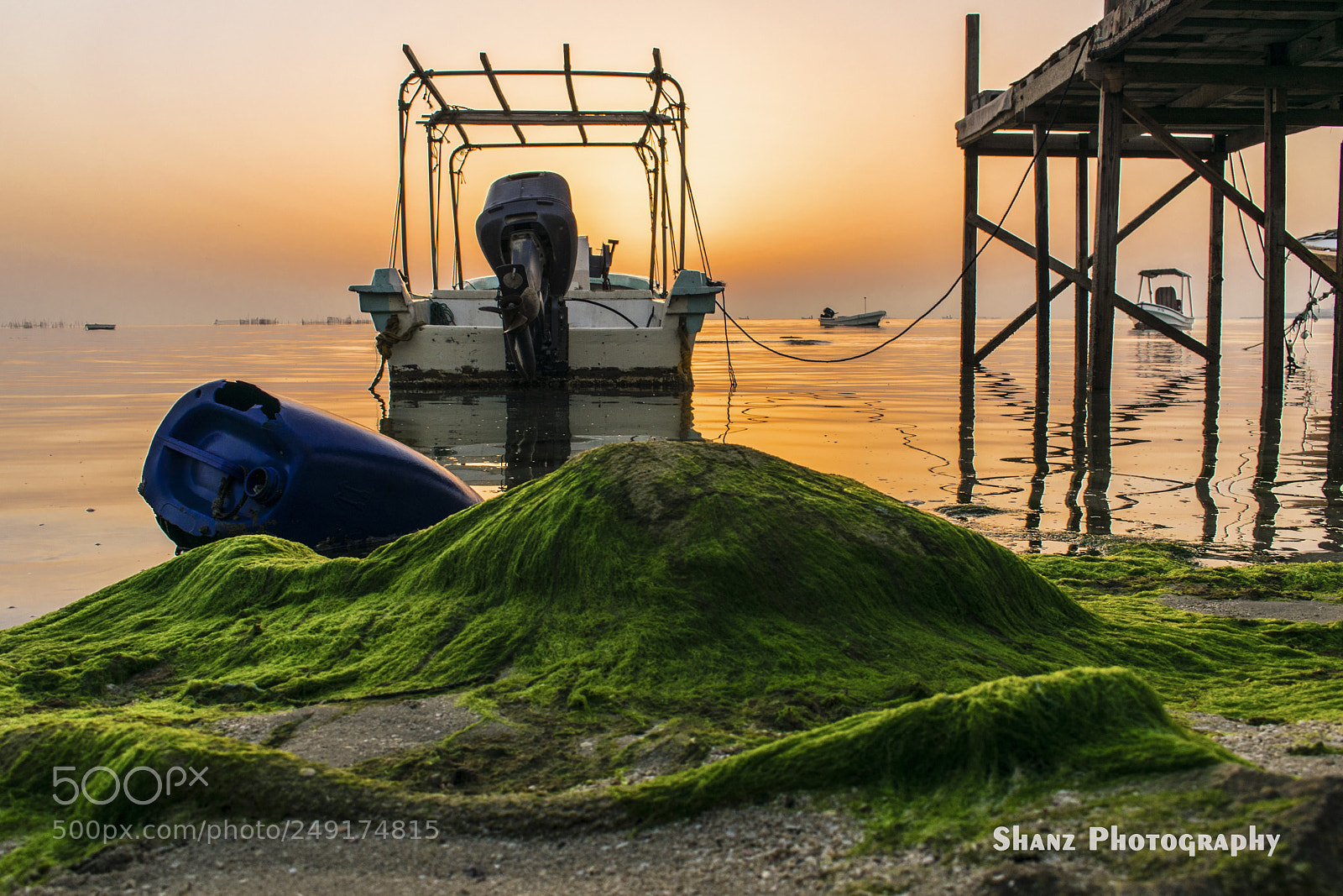 Nikon D5300 sample photo. Sea view at bahrain photography