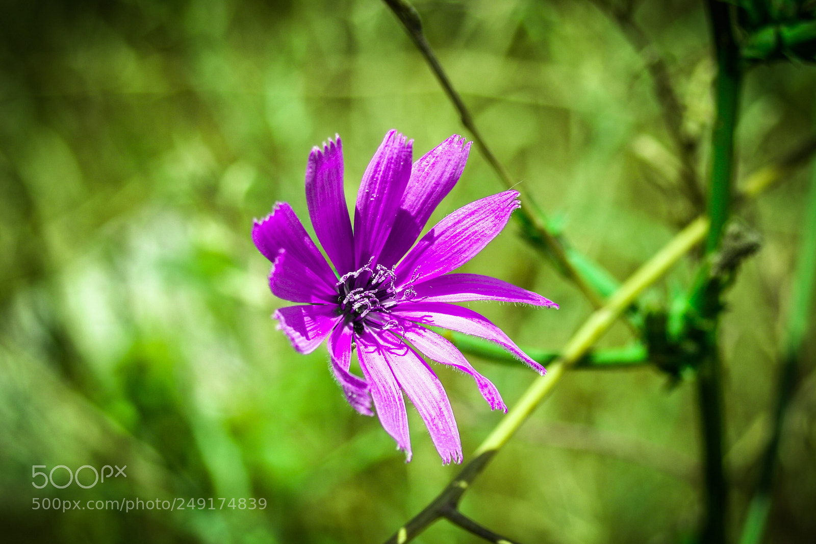 Canon EOS 20D sample photo. Img photography