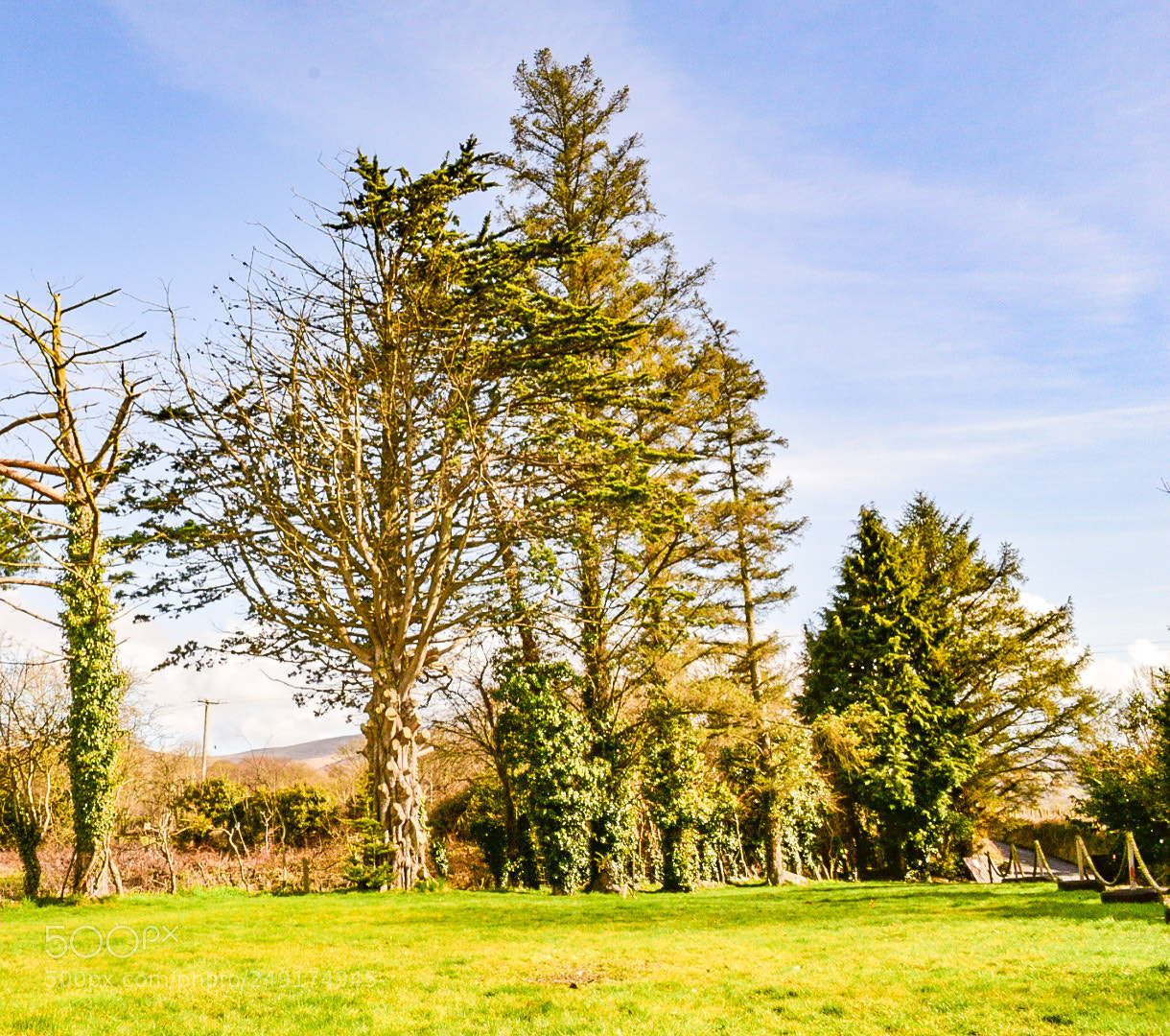 Nikon D5300 sample photo. Nice day photography