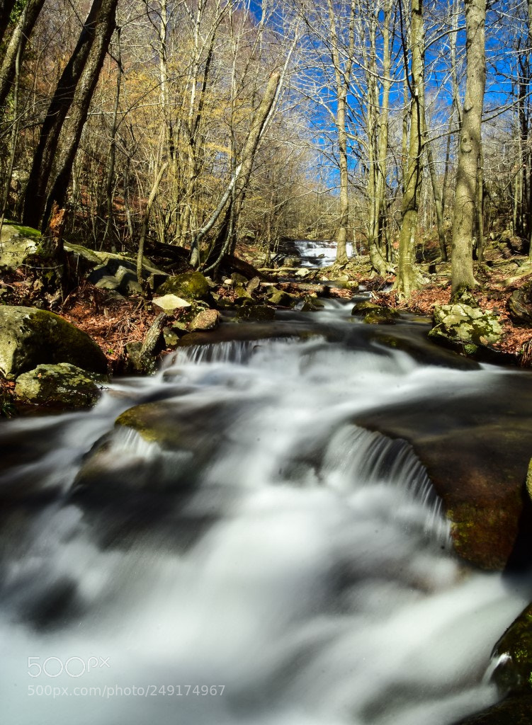 Nikon D7200 sample photo. Riachuelo photography