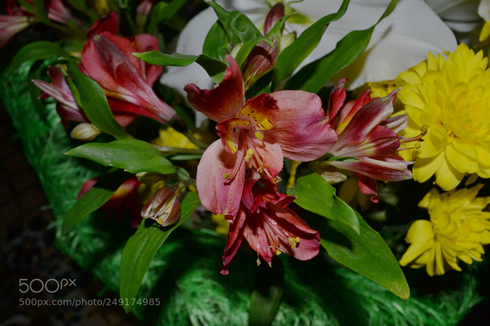 Nikon D3100 sample photo. букет photography