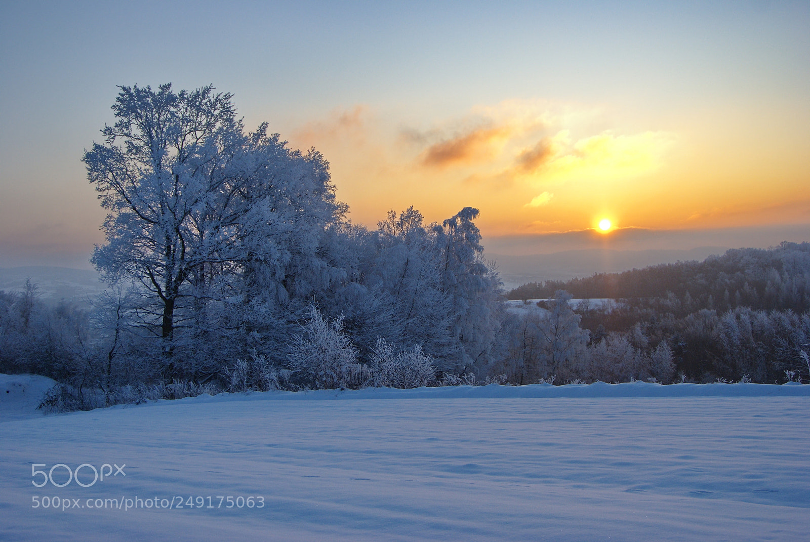 Nikon D80 sample photo. Winter sunset photography