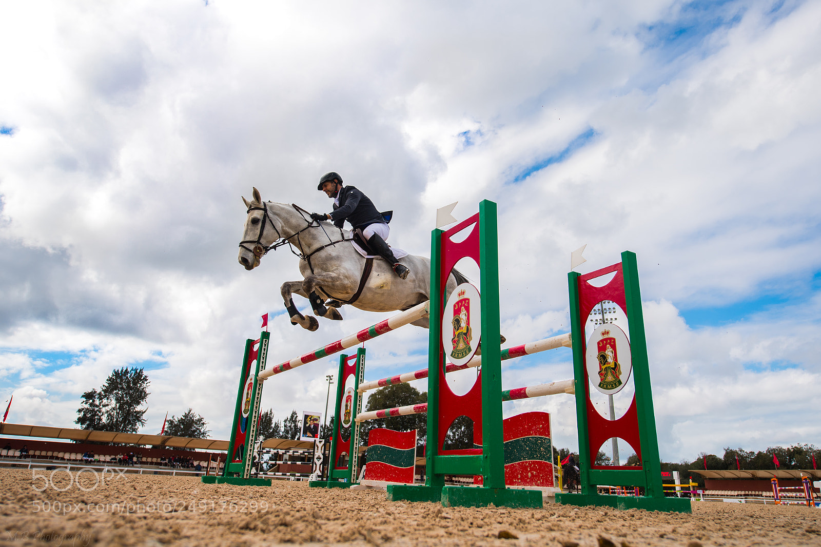 Nikon D5 sample photo. Horse jumping photography
