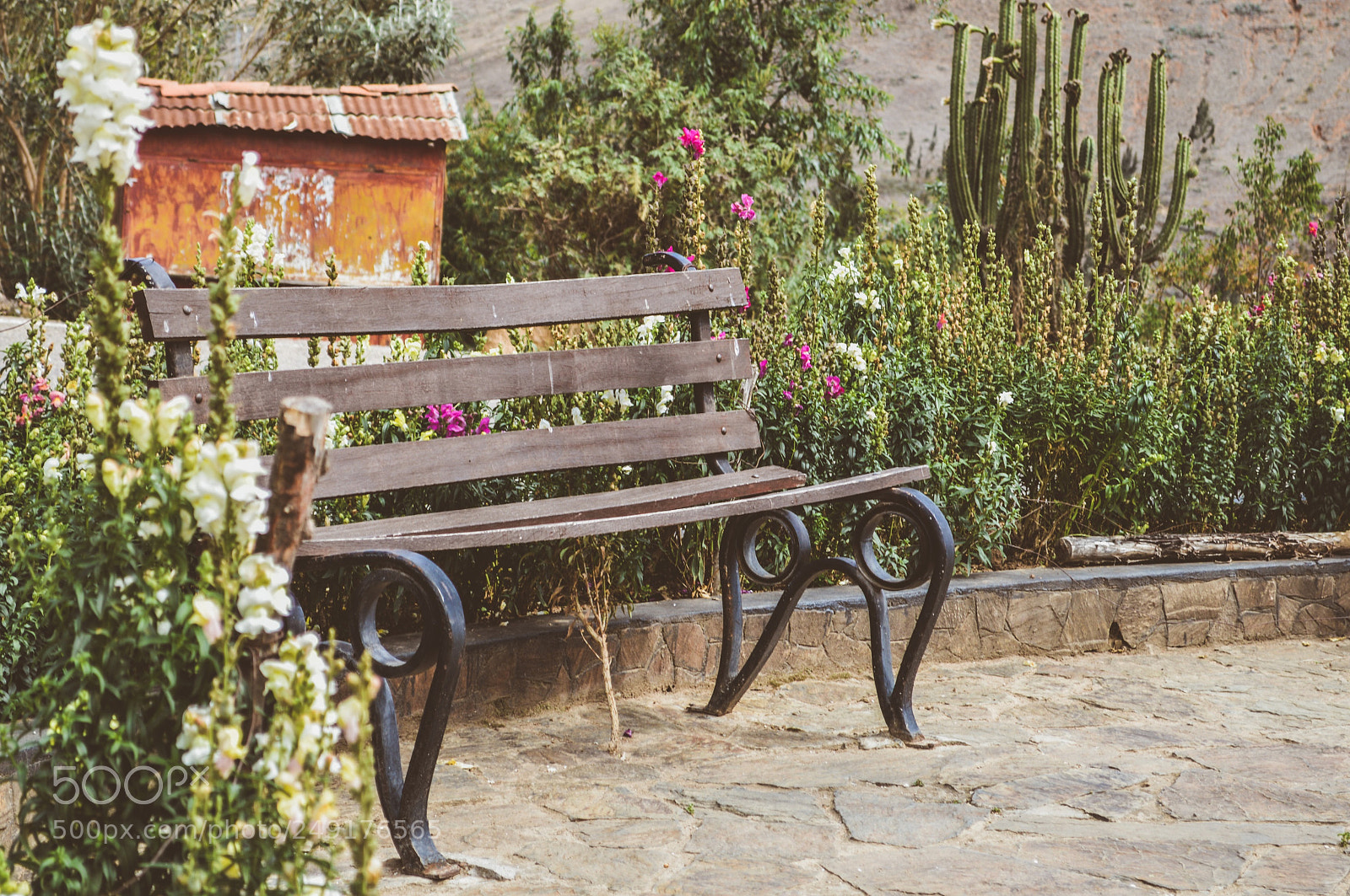 Nikon D3200 sample photo. Espera photography