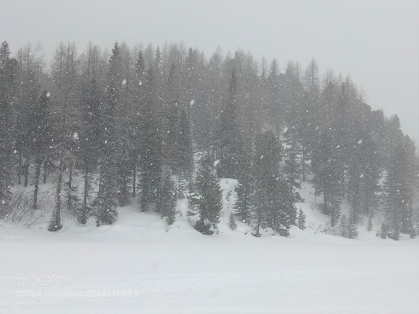 OPPO A1601 sample photo. Snowfall photography