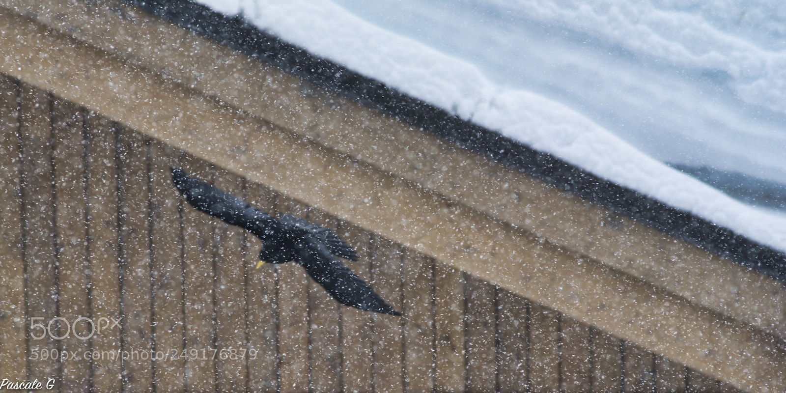 Nikon D7100 sample photo. Diagonal set jeu de photography