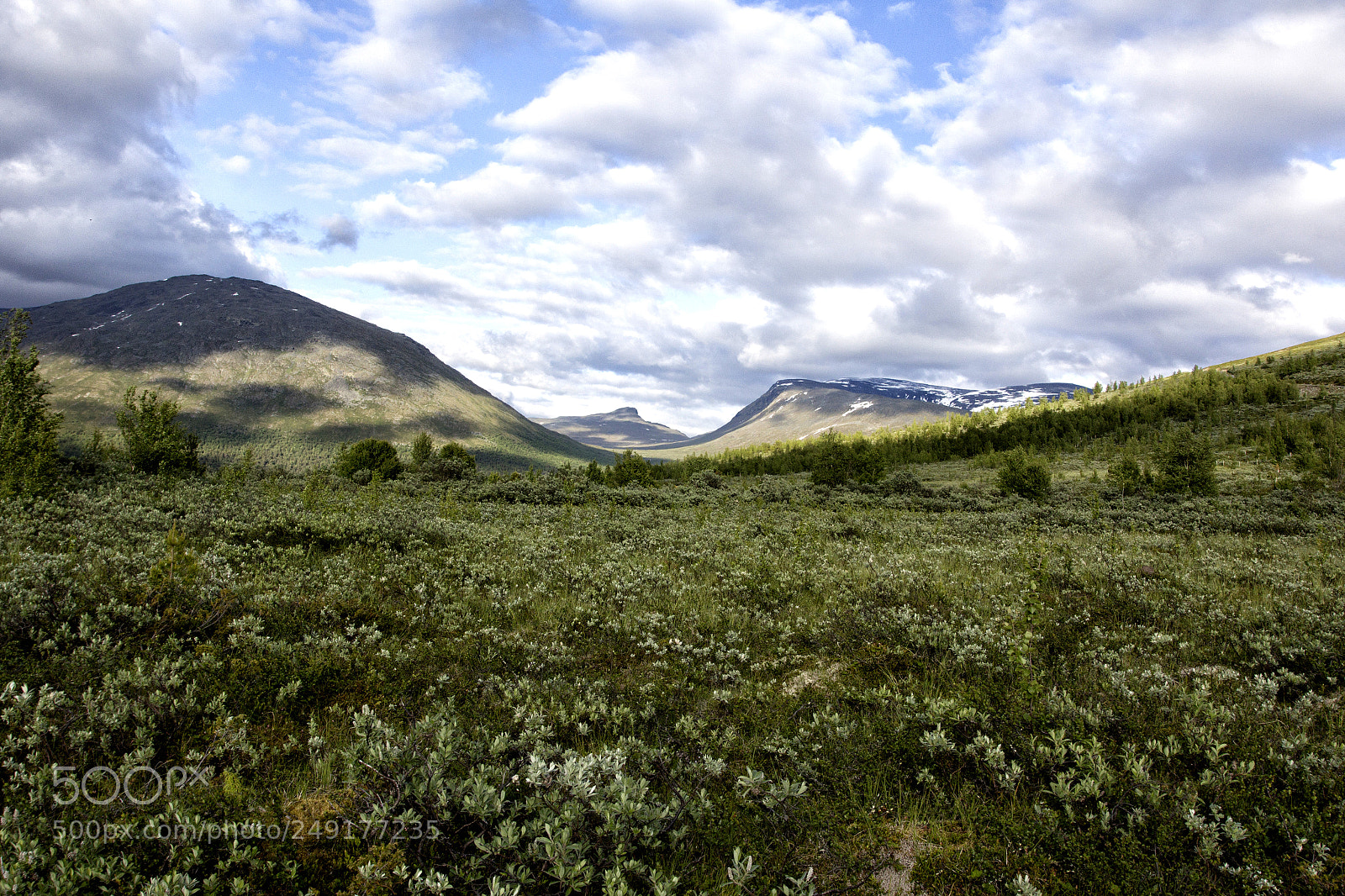 Canon EOS 60D sample photo. View of norwegian national photography