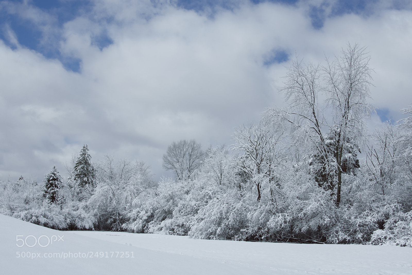 Nikon D7200 sample photo. Winding straight away photography