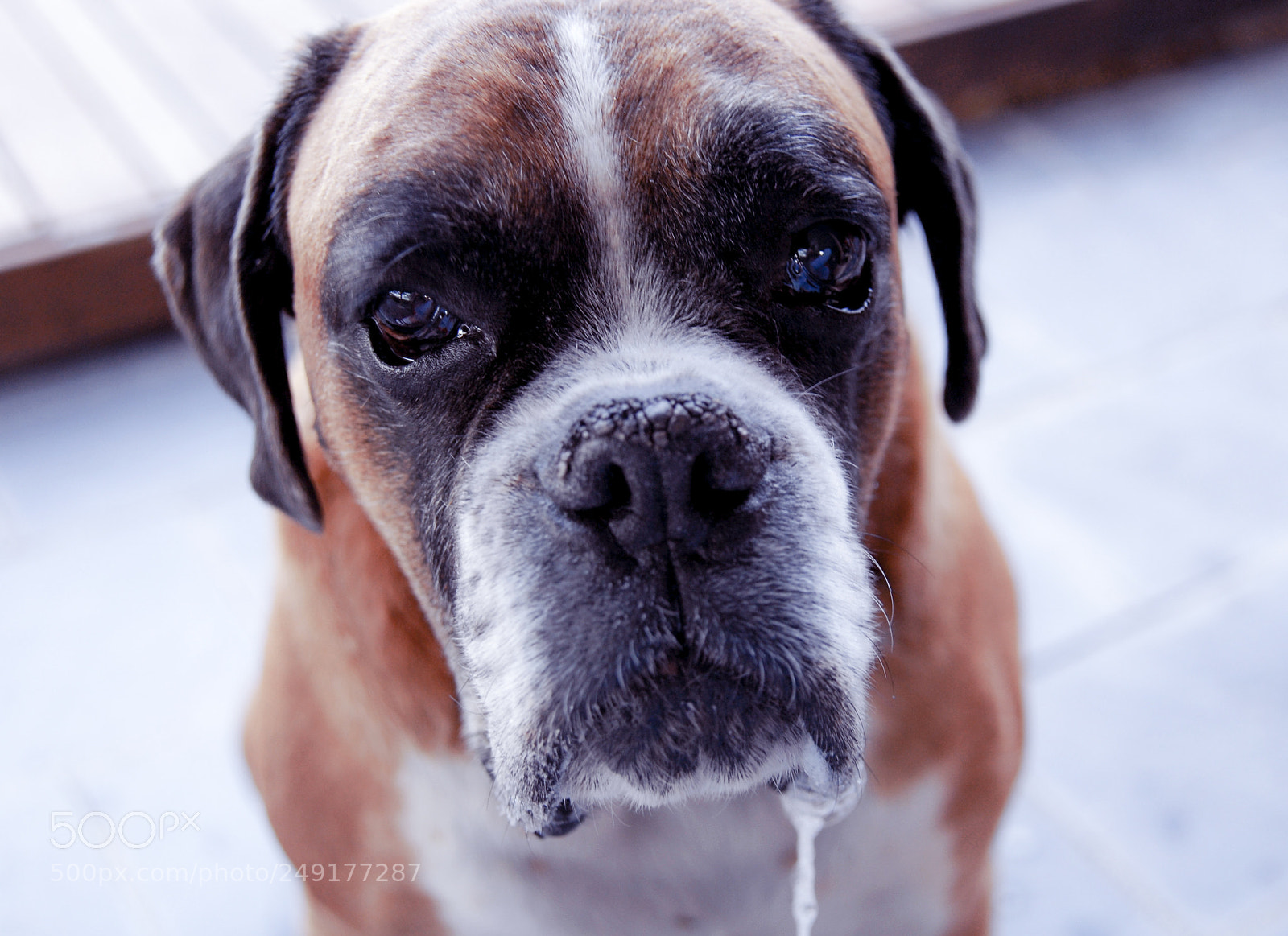 Nikon D200 sample photo. Slime photography