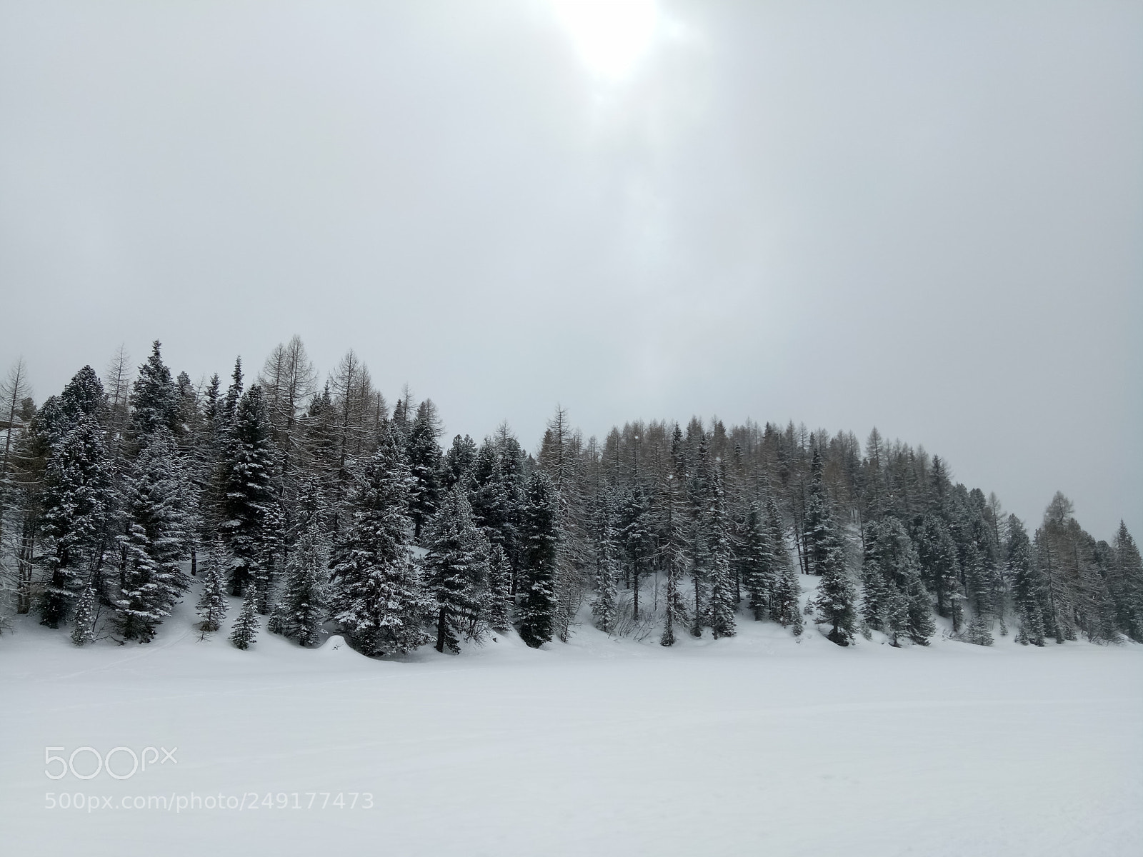 OPPO A1601 sample photo. Sunshine's after snowfall photography