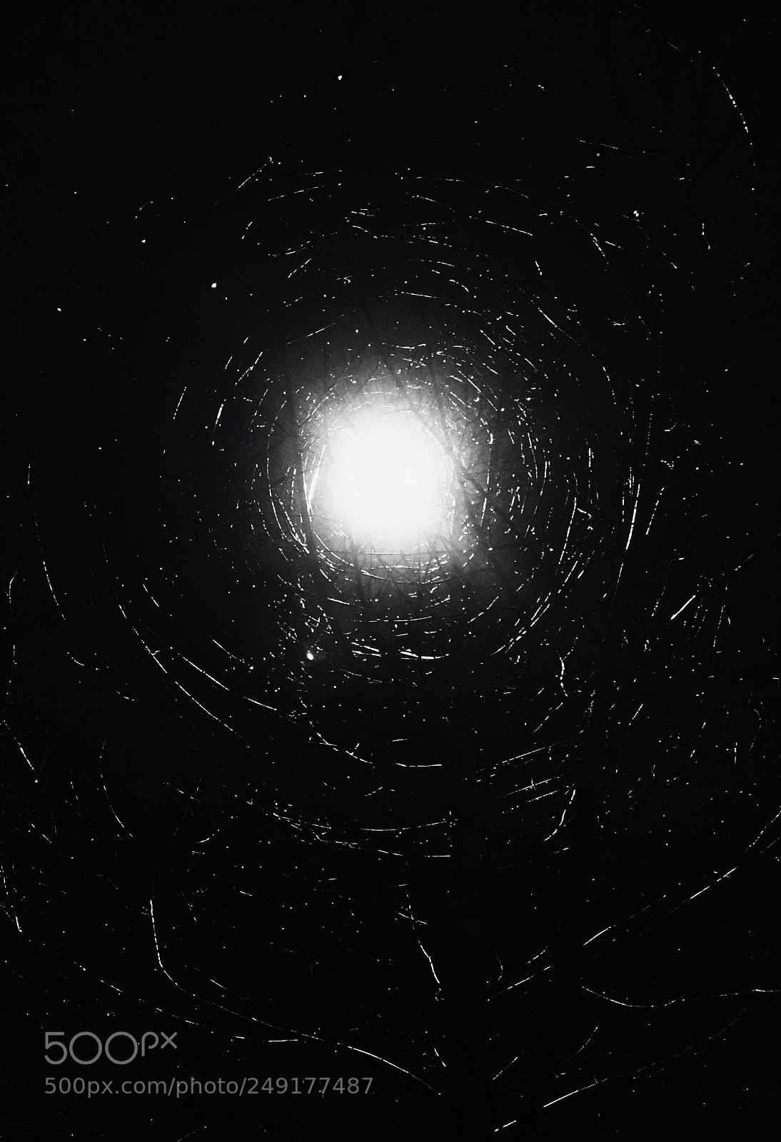 Apple iPhone 7 sample photo. Untitled photography