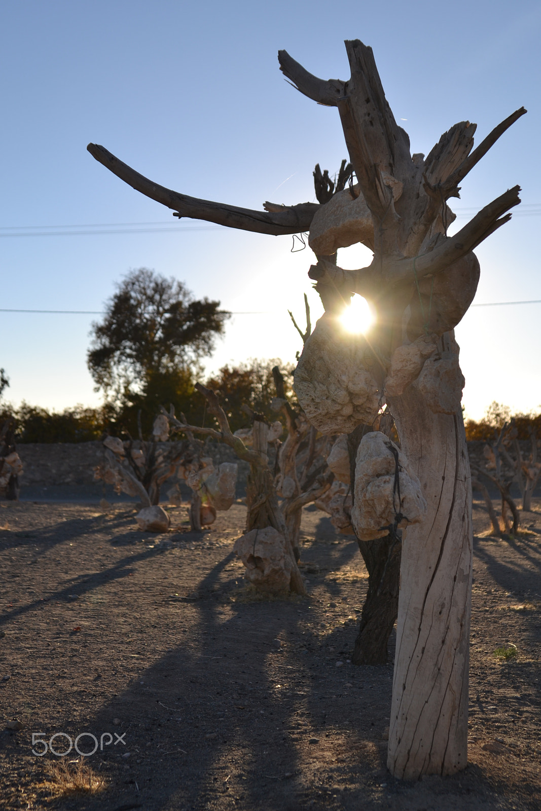 Nikon D3100 sample photo. Wood love stone photography
