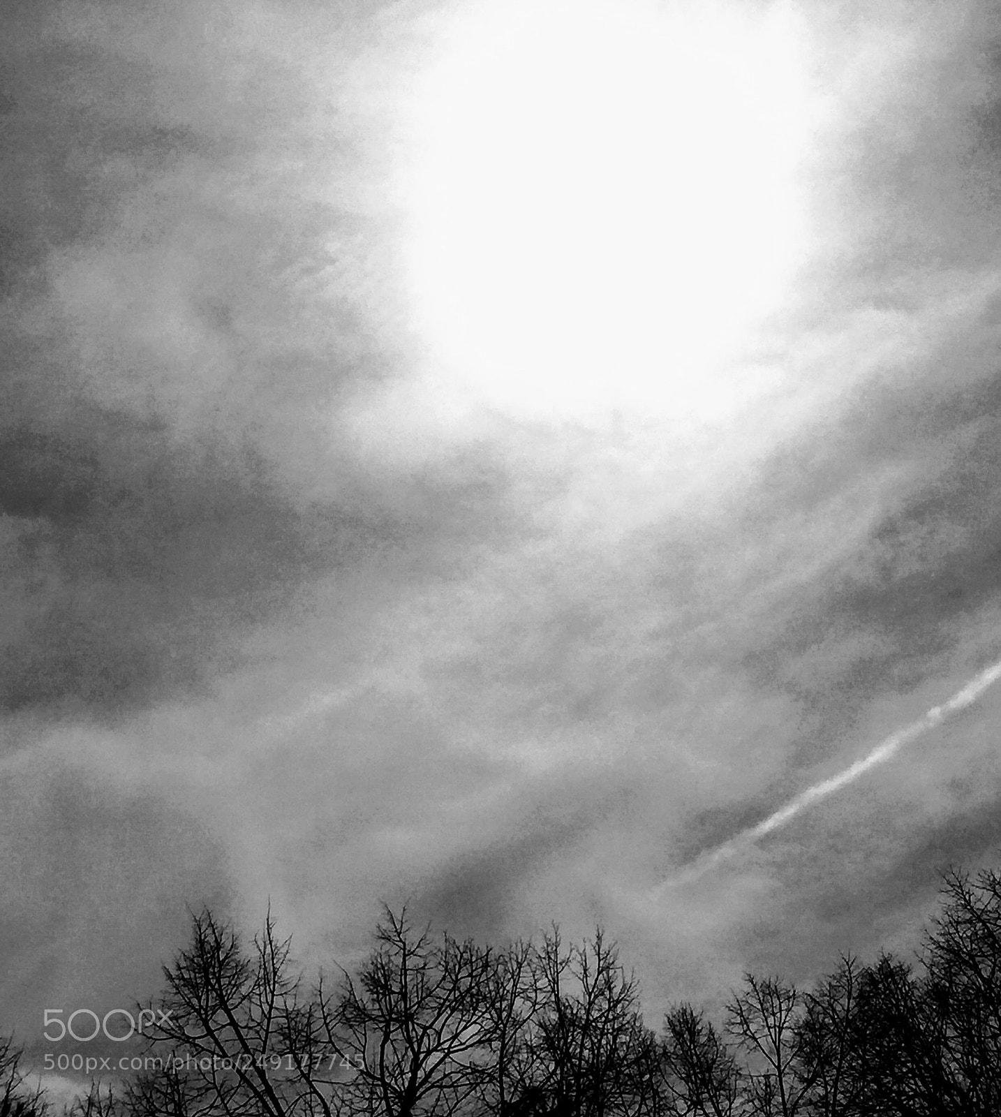 Apple iPhone 6 sample photo. Untitled photography