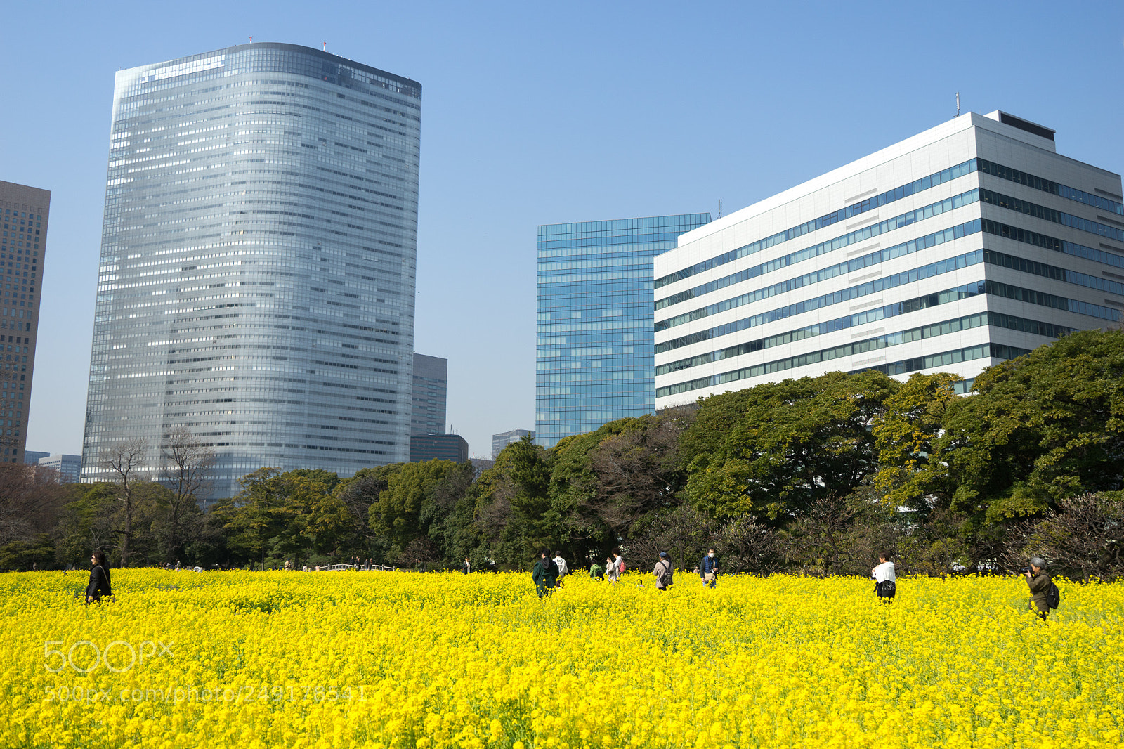 Sony a7 II sample photo. Spring has come! photography