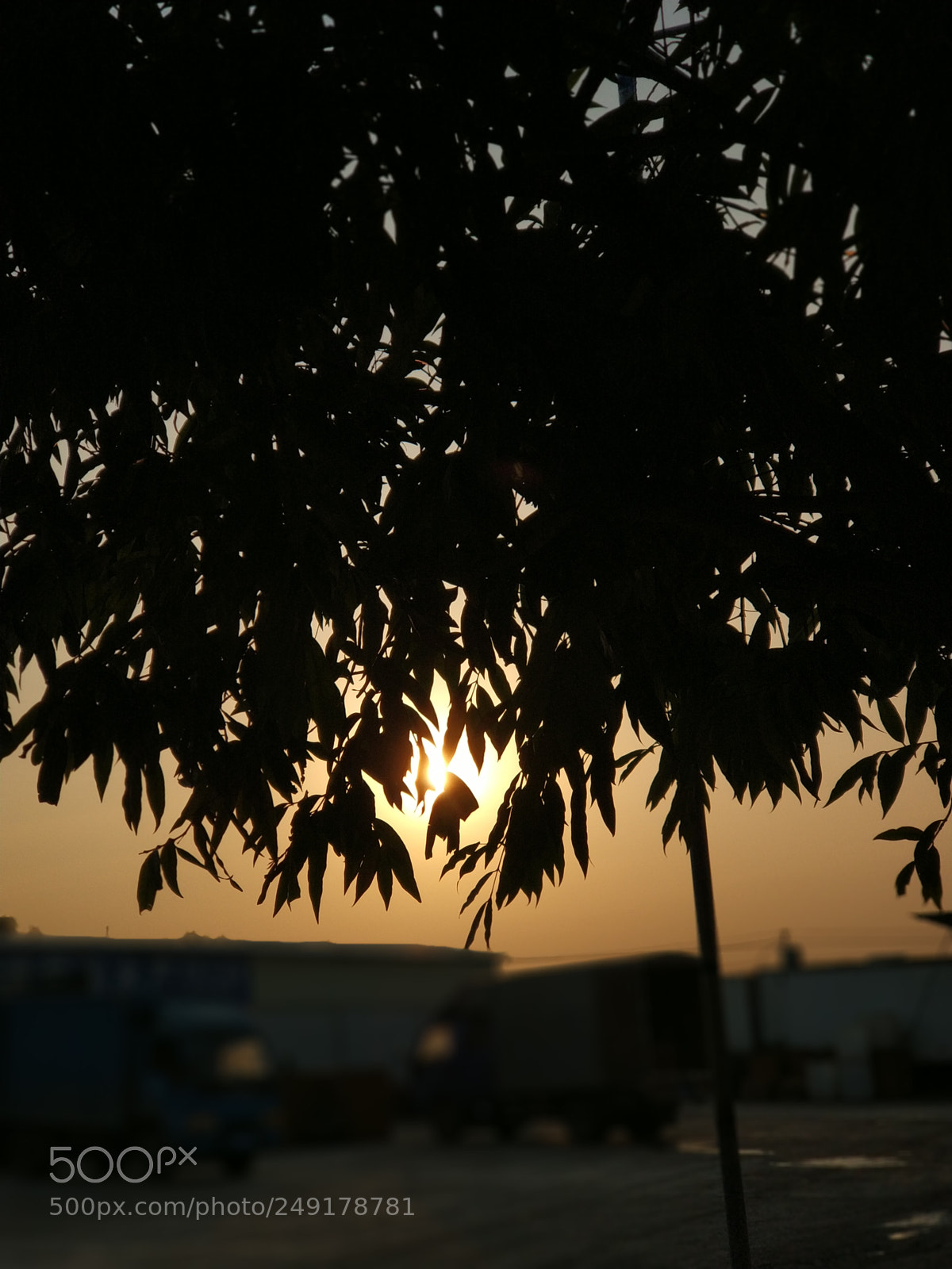 Xiaomi MI6 sample photo. Untitled photography