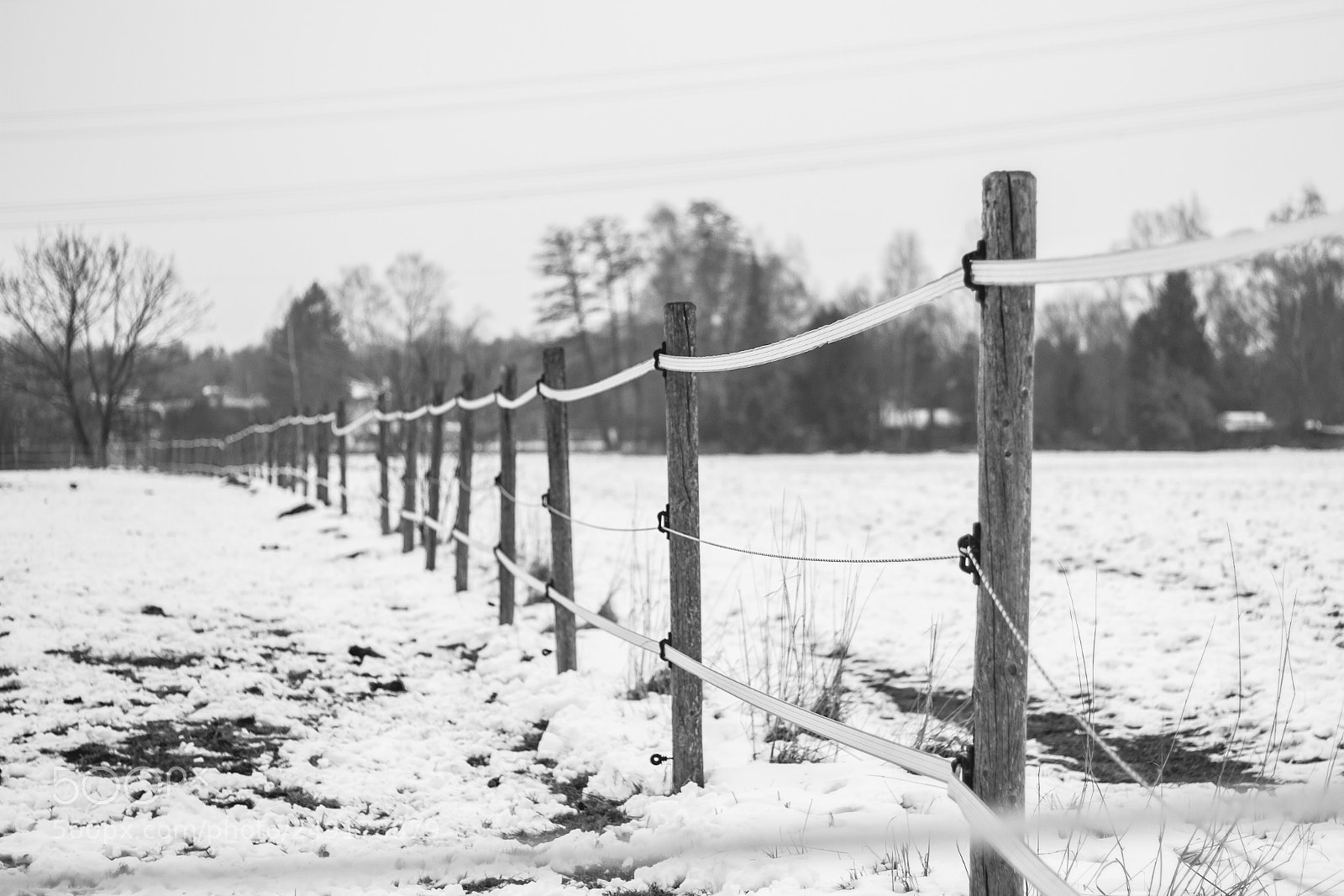 Canon EOS 7D sample photo. Fences photography