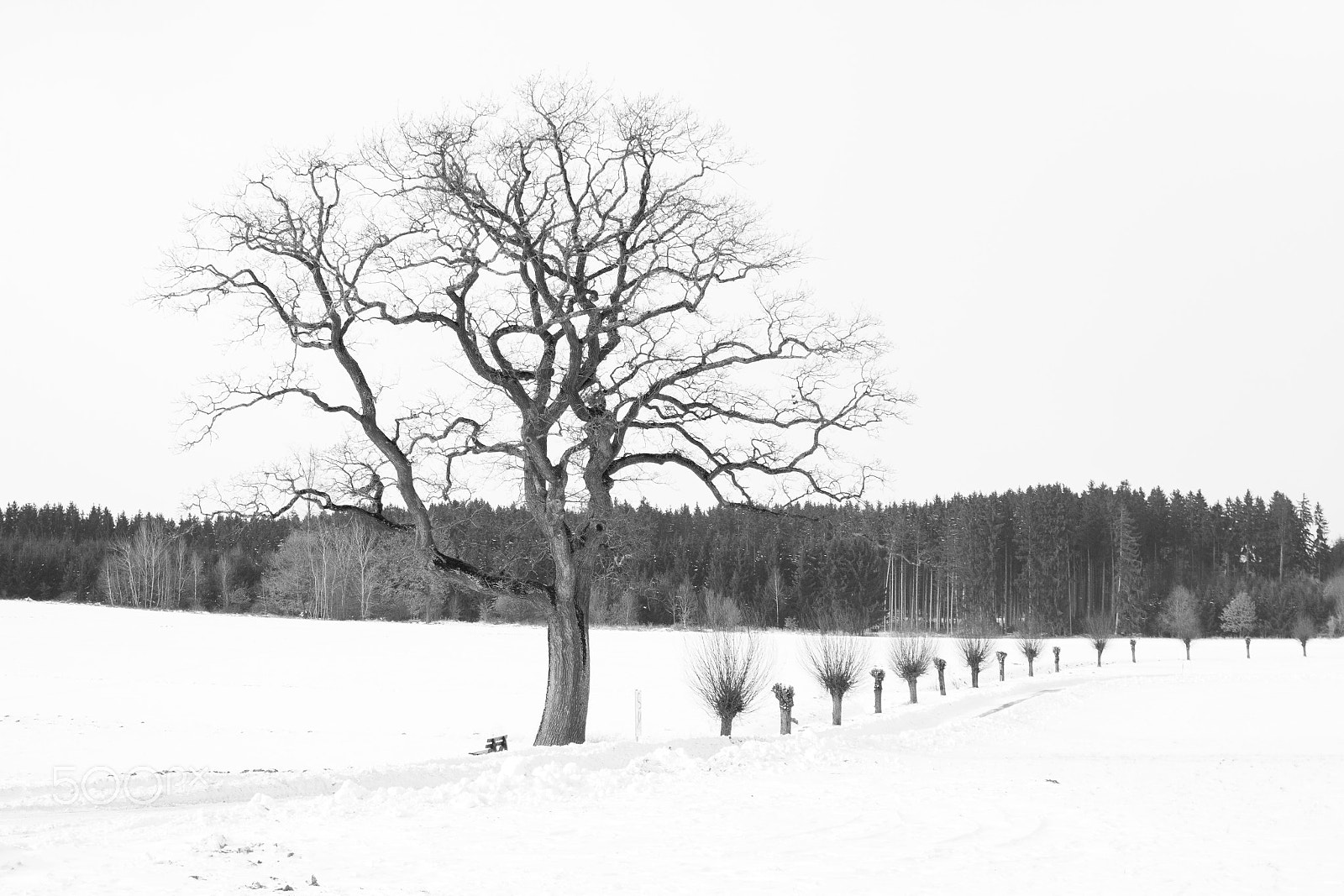 Canon EOS 7D sample photo. Feel the silence photography