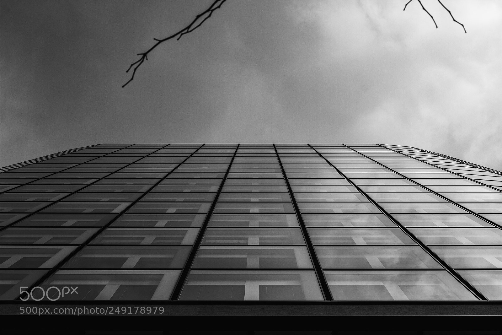Canon EOS 7D sample photo. Look up photography