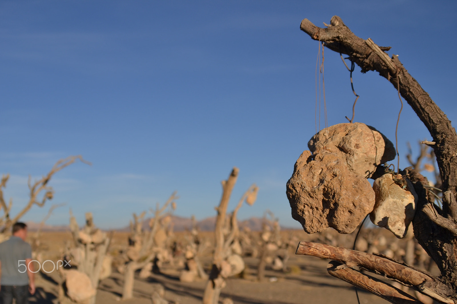Nikon D3100 sample photo. Stone love wood photography