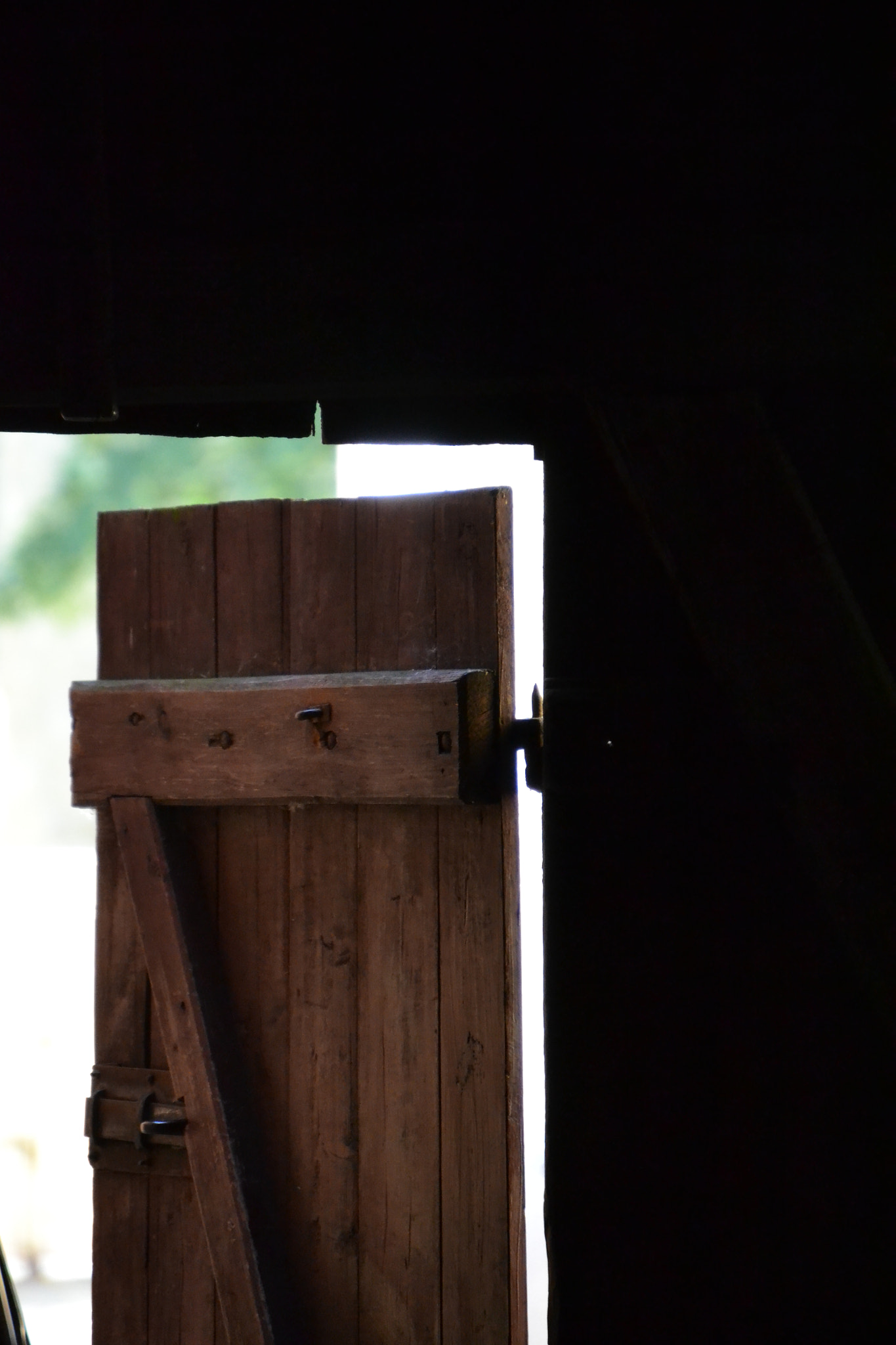 Nikon D3100 sample photo. Old wooden door photography