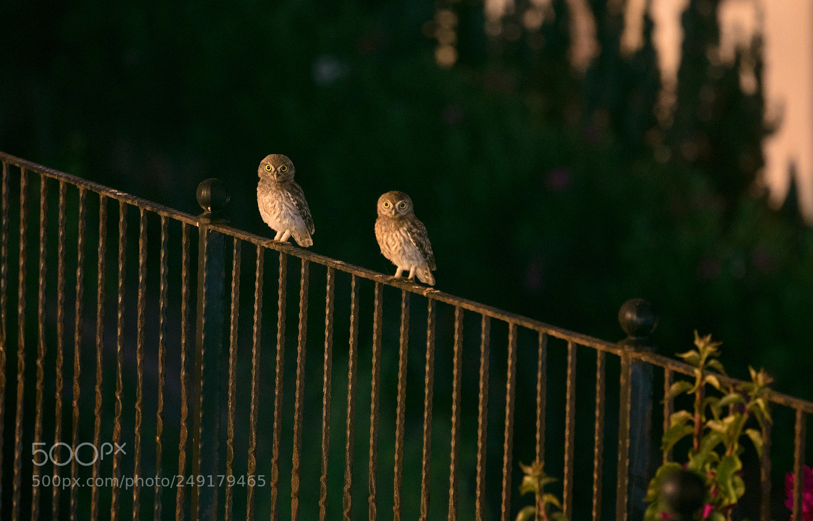 Fujifilm X-T1 sample photo. Untitled copy photography