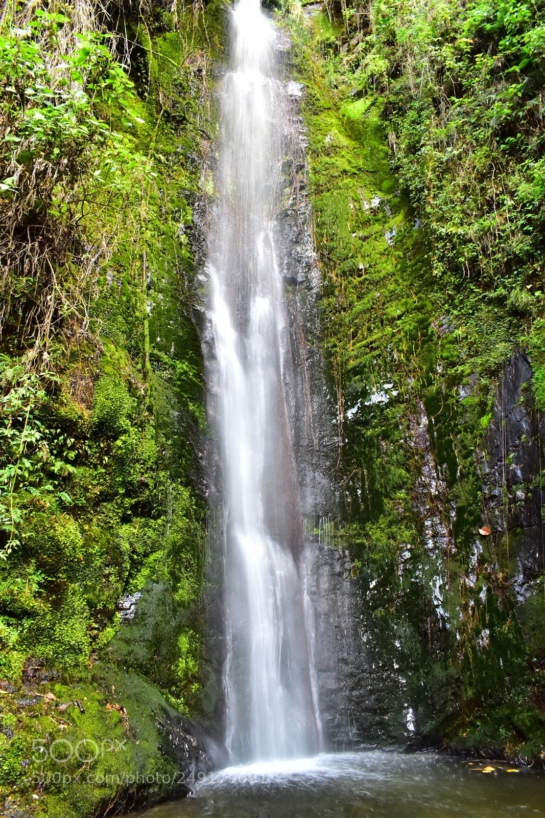 Nikon D5600 sample photo. Miraculous waterfall of vilcabamba photography