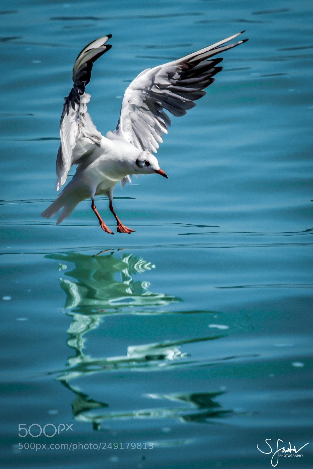 Canon EOS 60D sample photo. Landing photography