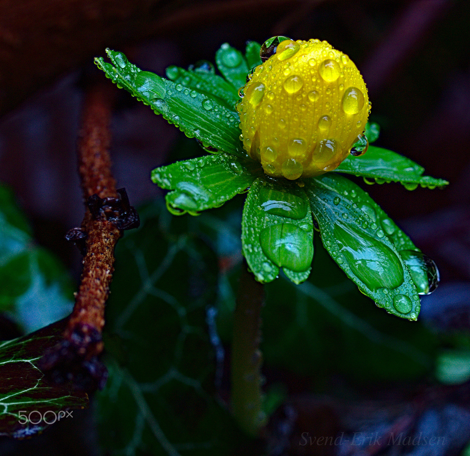 Canon EOS M10 sample photo. Alone in the rain photography