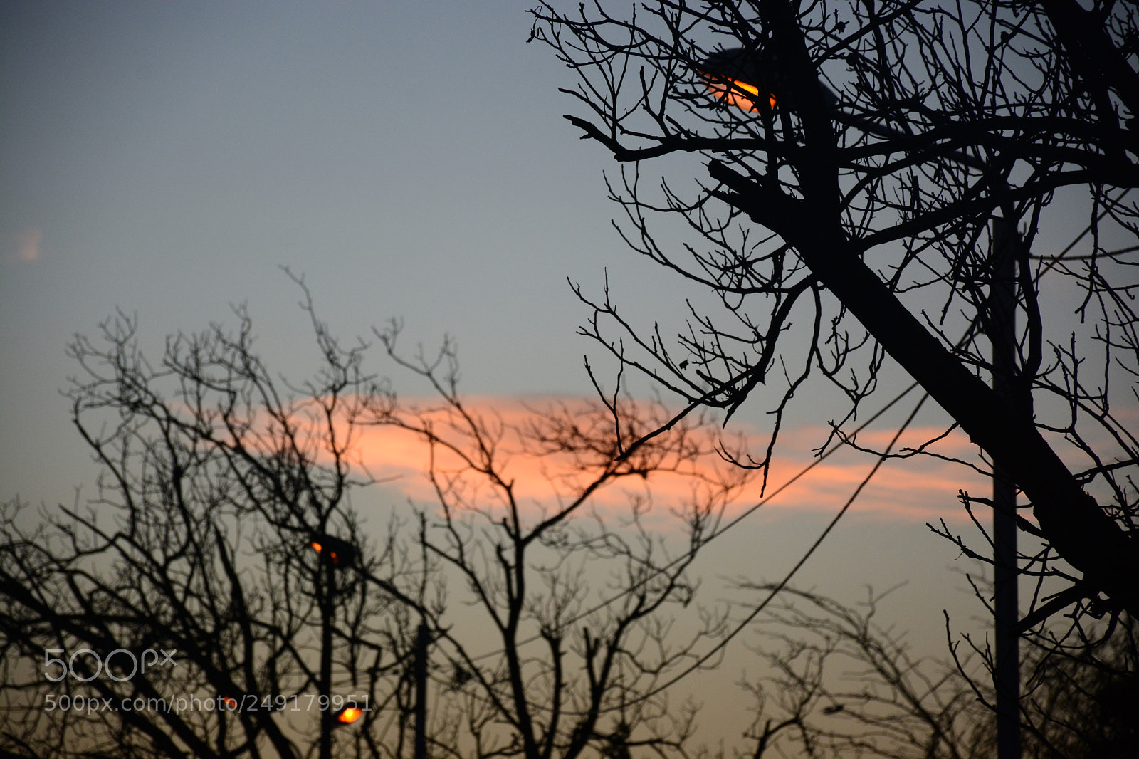 Nikon D7100 sample photo. Veins photography