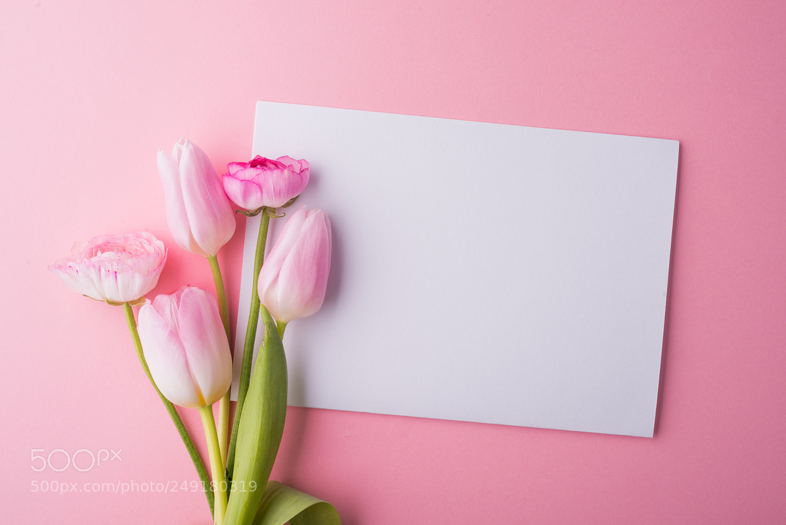 Nikon D800 sample photo. Easter and spring flat photography