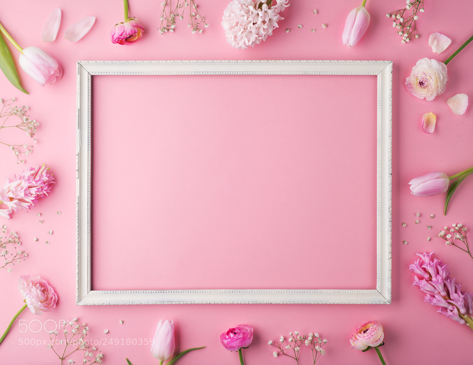 Nikon D800 sample photo. Easter and spring flat photography