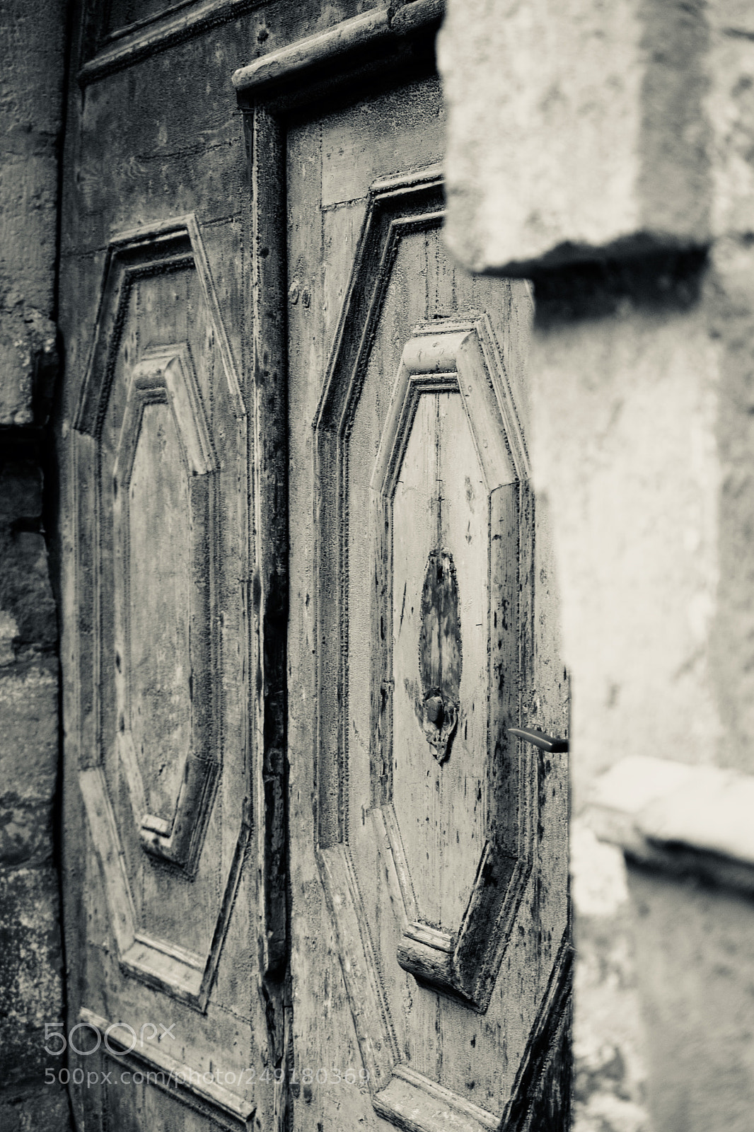 Nikon D3100 sample photo. Old door photography
