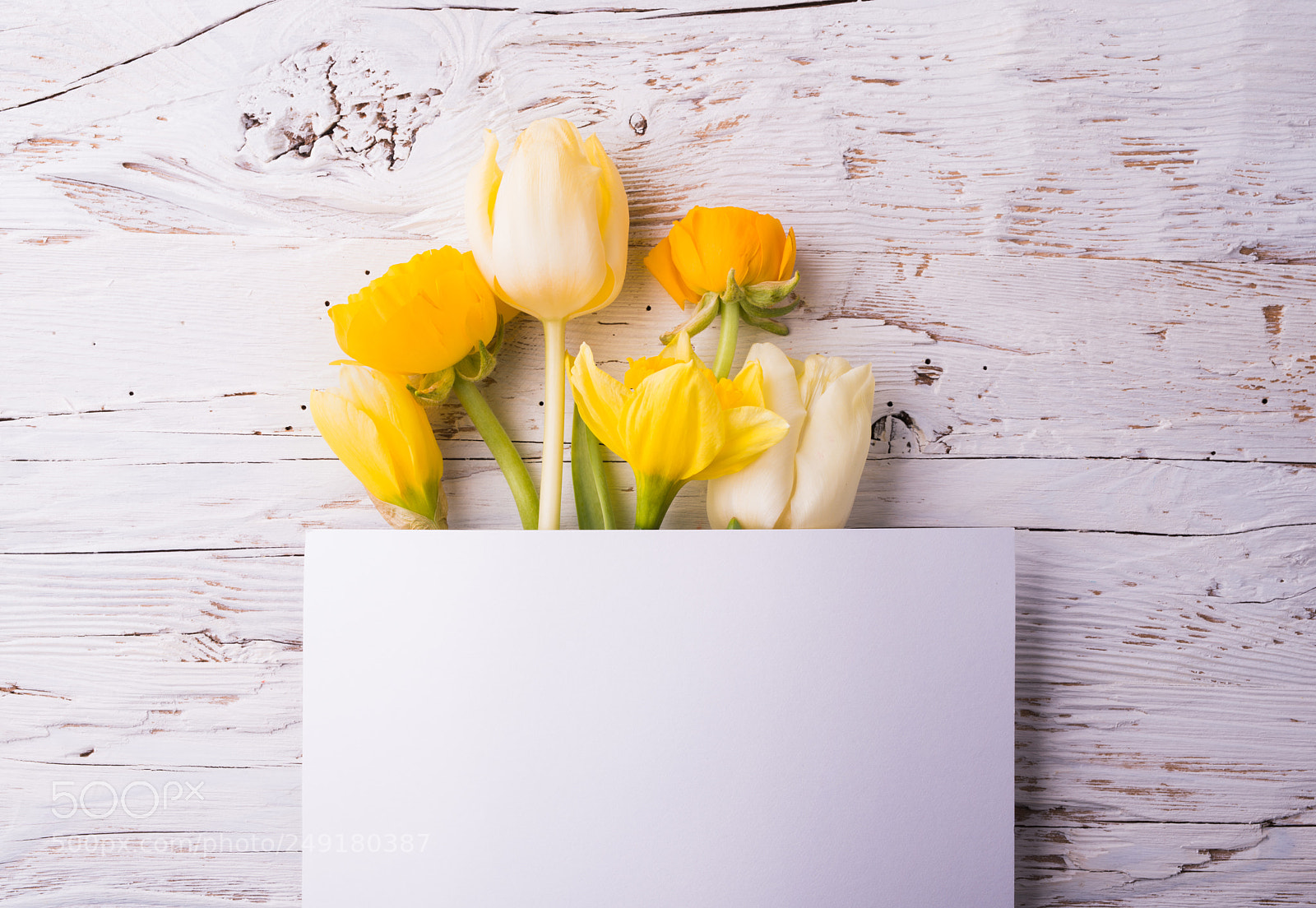 Nikon D800 sample photo. Easter and spring flat photography