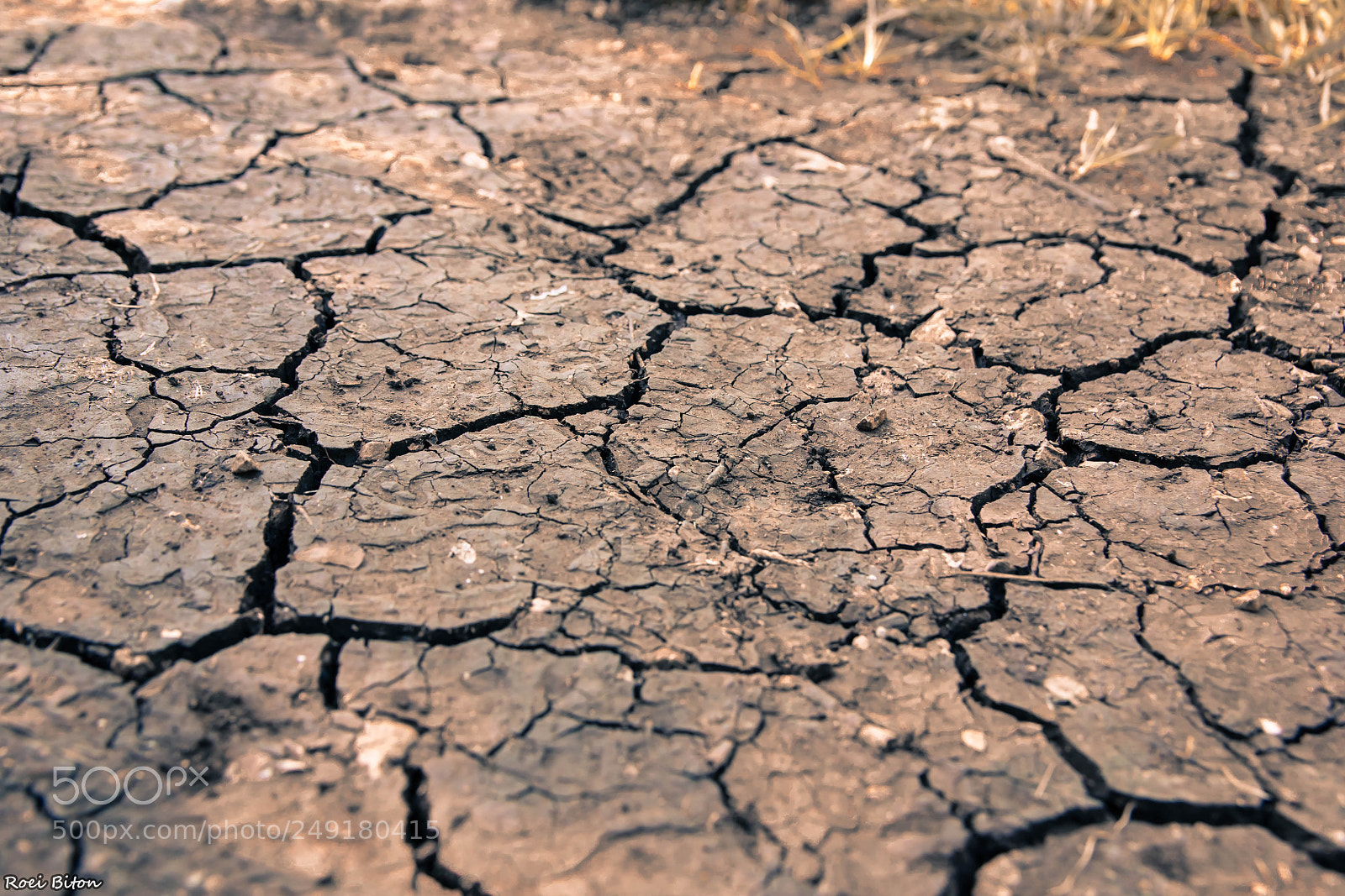 Nikon D5500 sample photo. Ground waiting for water photography