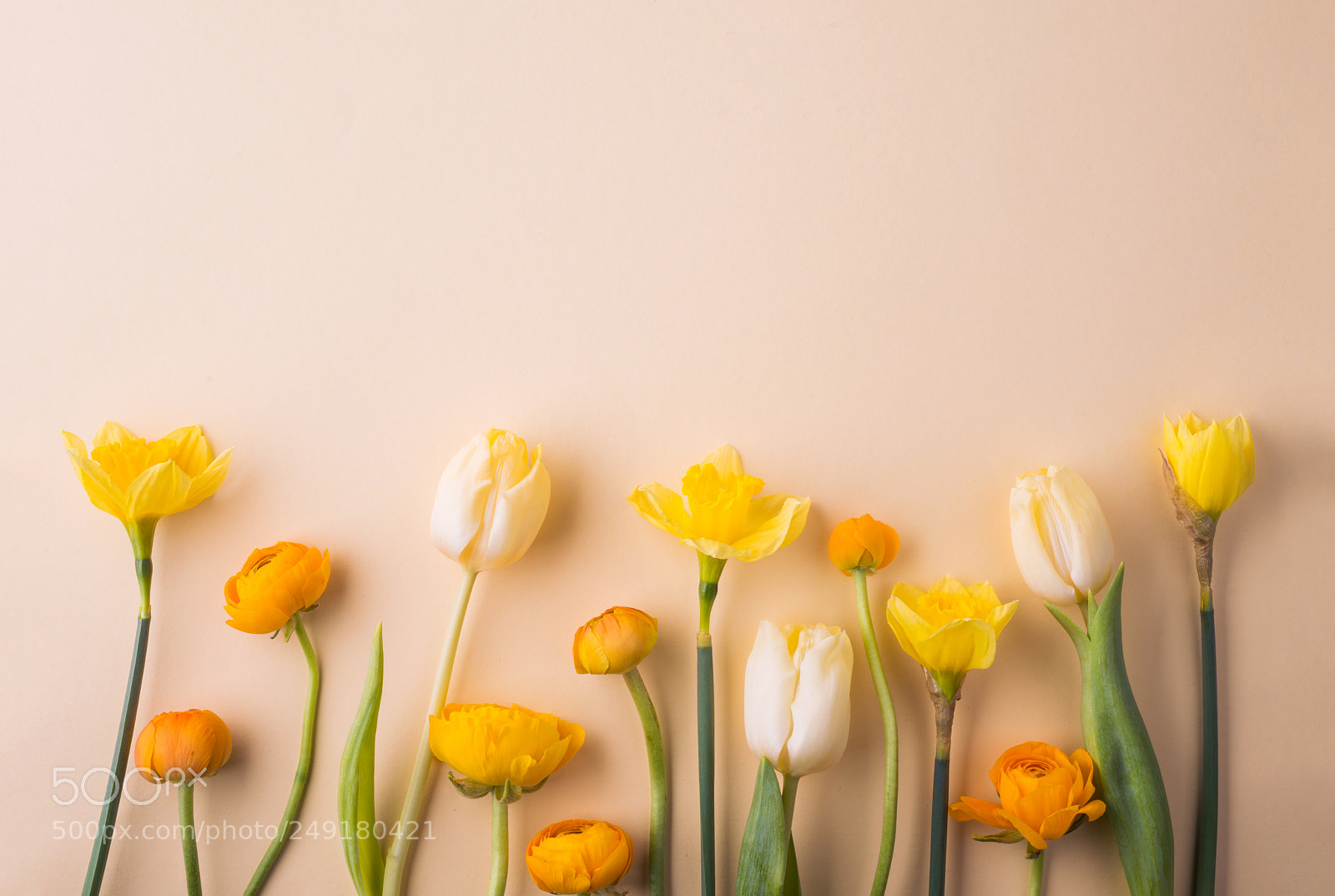 Nikon D800 sample photo. Easter and spring flat photography