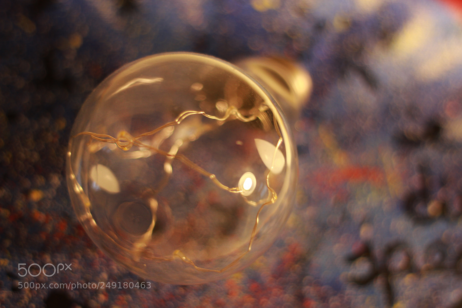 Canon EOS 600D (Rebel EOS T3i / EOS Kiss X5) sample photo. Macro light photography