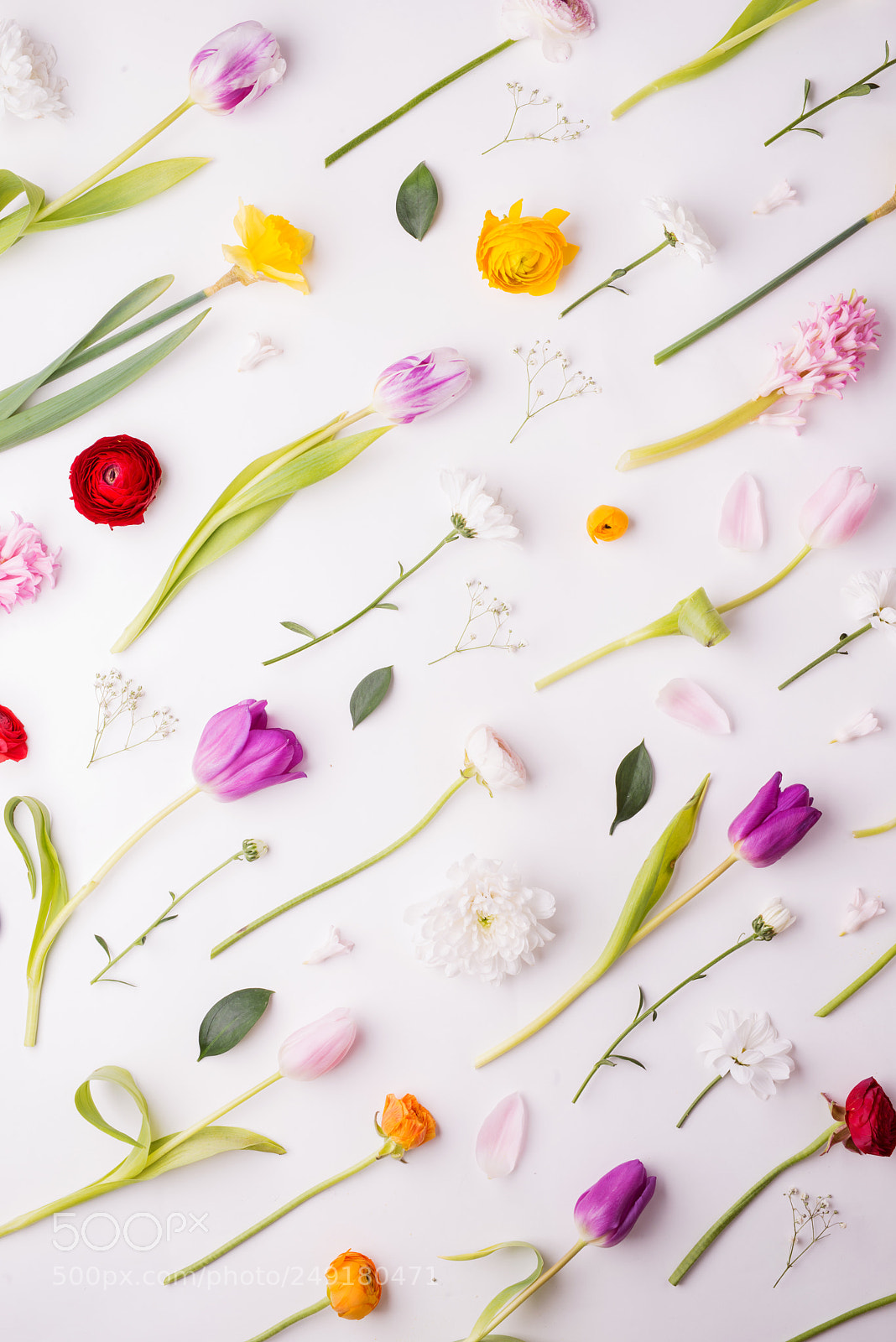 Nikon D800 sample photo. Easter and spring flat photography