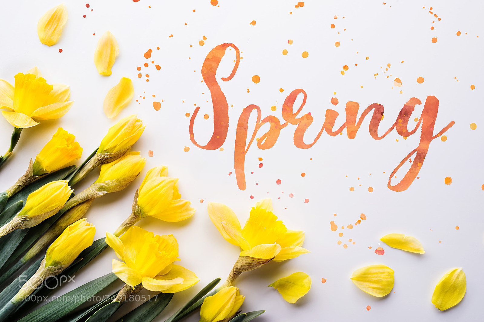 Nikon D4S sample photo. Easter and spring flat photography