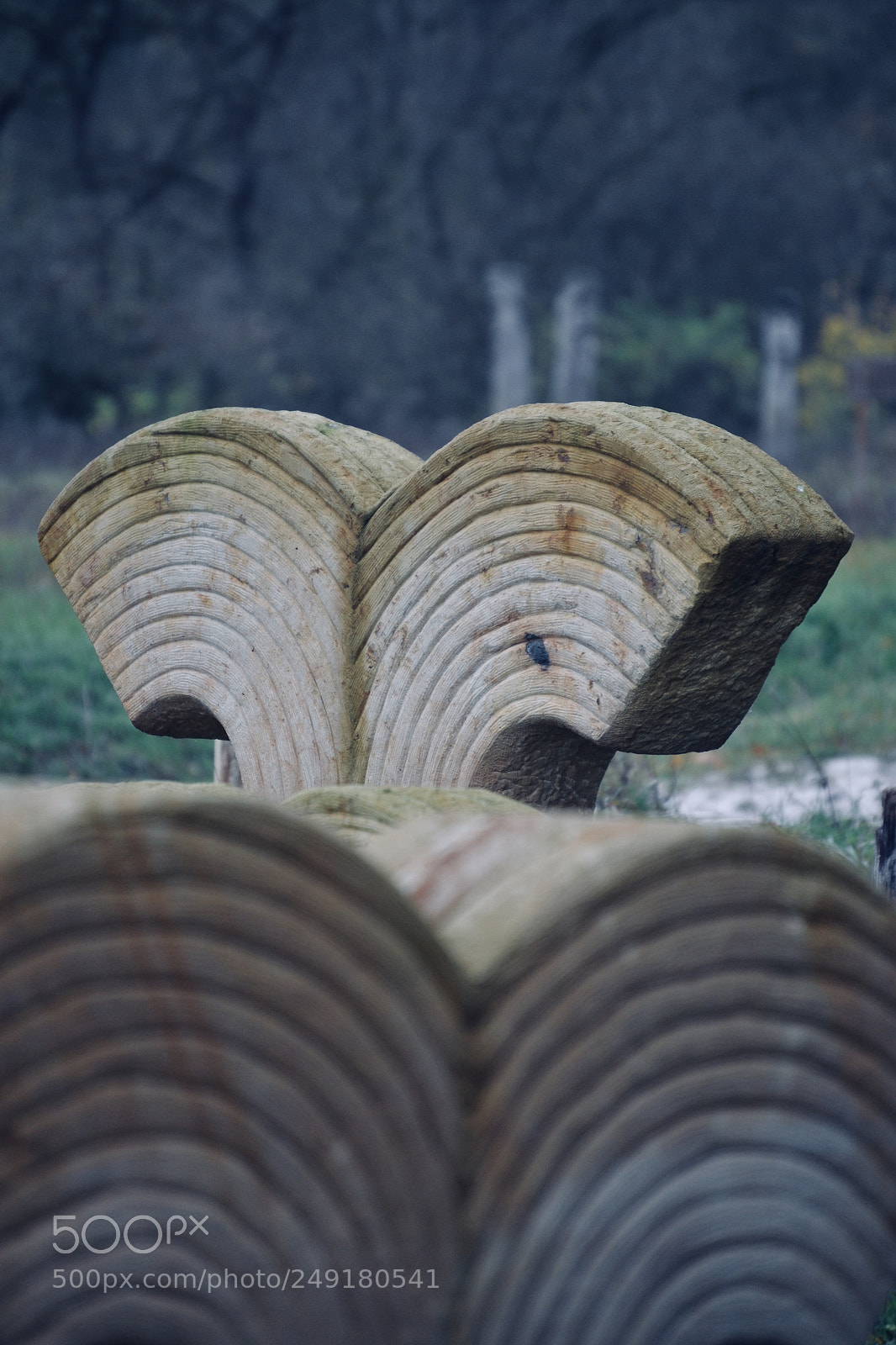 Nikon D3100 sample photo. Denkmal photography