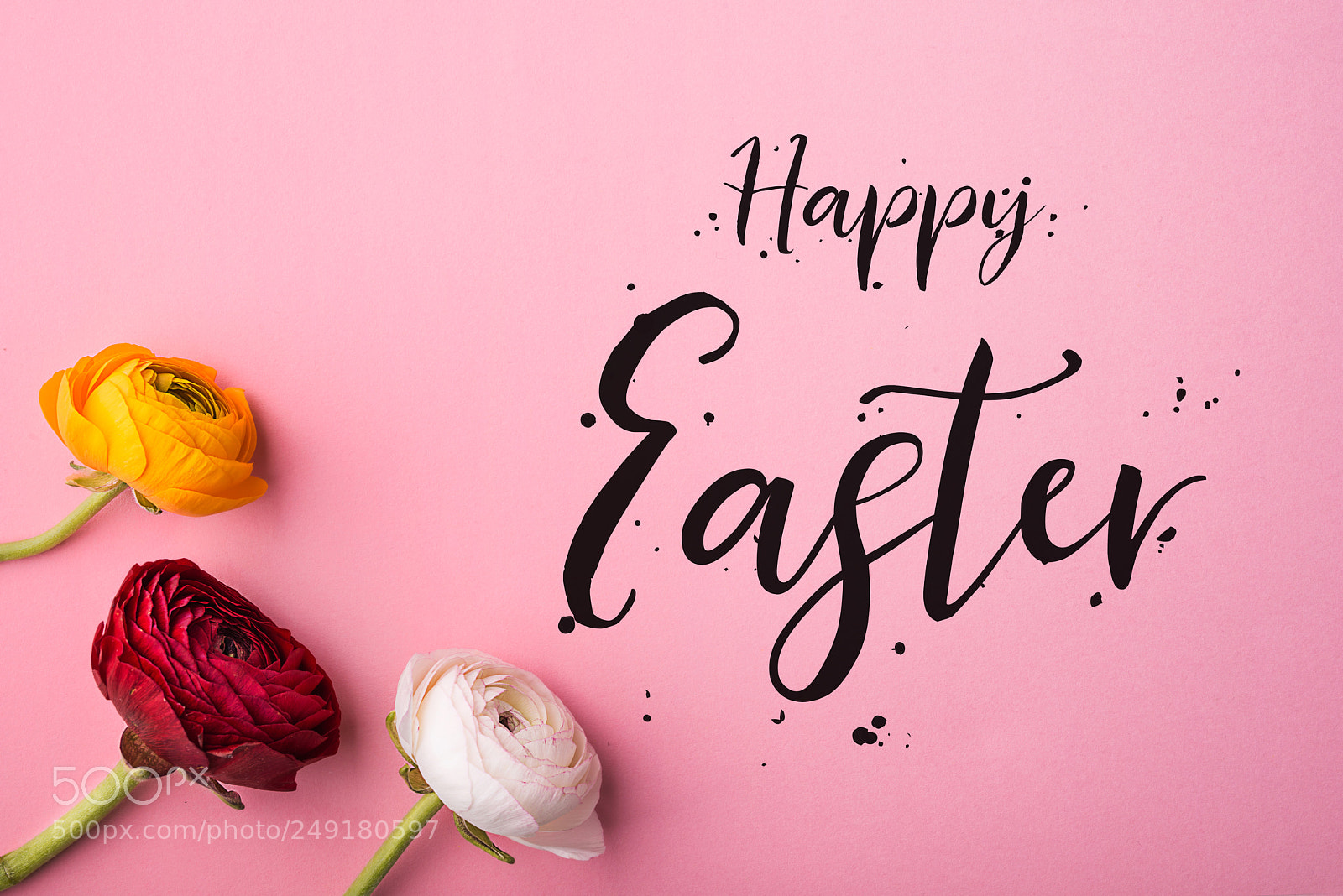 Nikon D800 sample photo. Happy easter phrase and photography